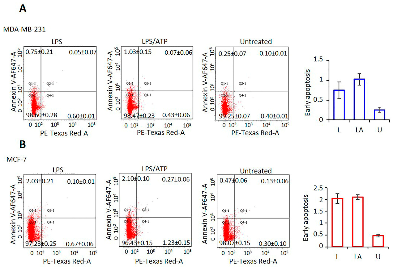 Ijms 24 04846 g004 Ijms 24 04846 g004