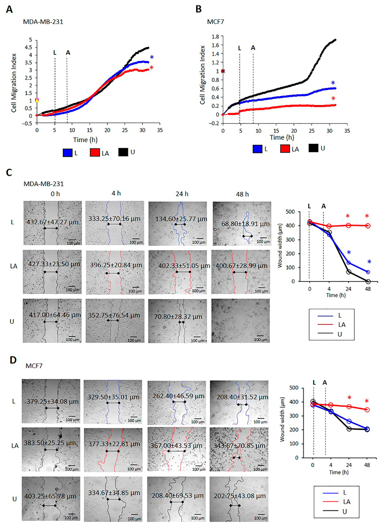 Ijms 24 04846 g005 Ijms 24 04846 g005