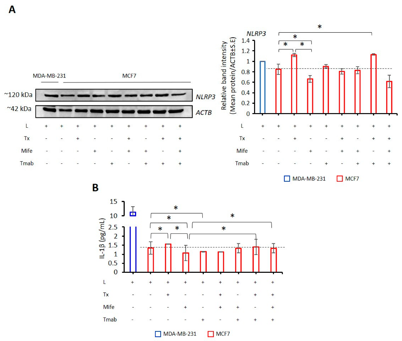 Ijms 24 04846 g007 Ijms 24 04846 g007