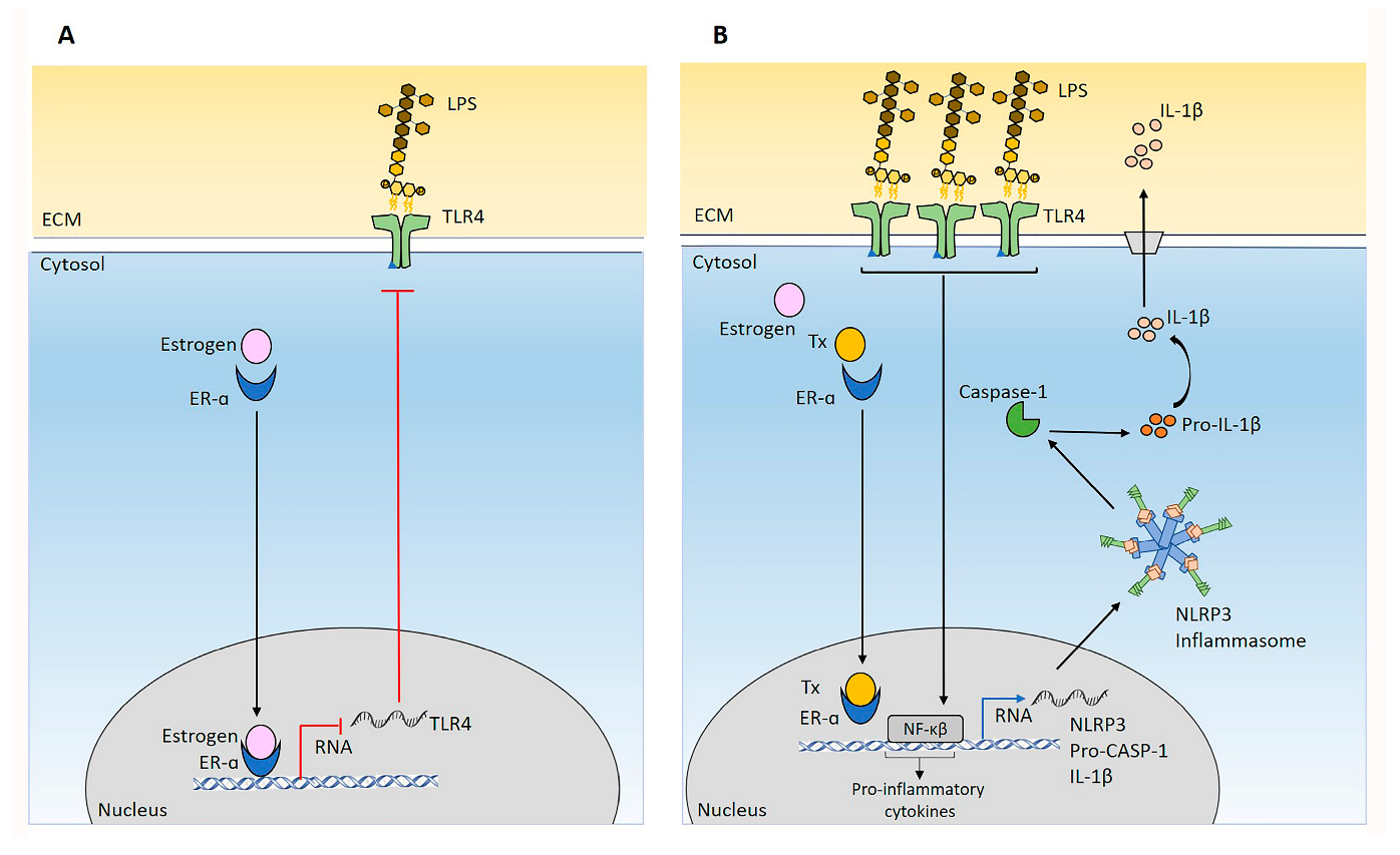 Ijms 24 04846 g009 Ijms 24 04846 g009