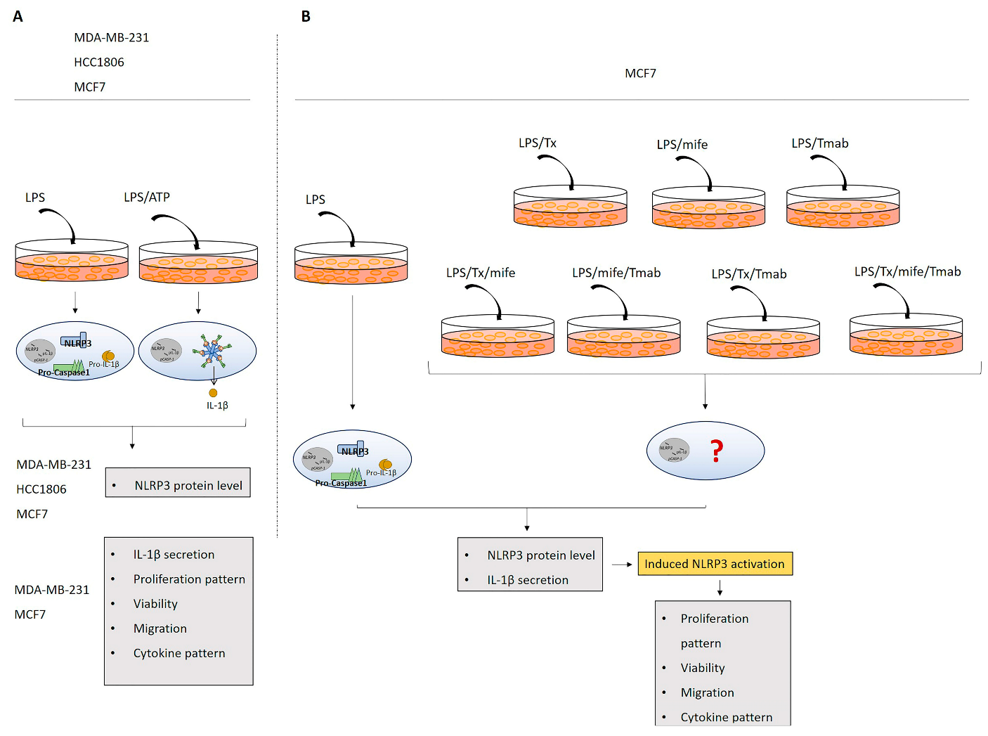 Ijms 24 04846 g010 Ijms 24 04846 g010