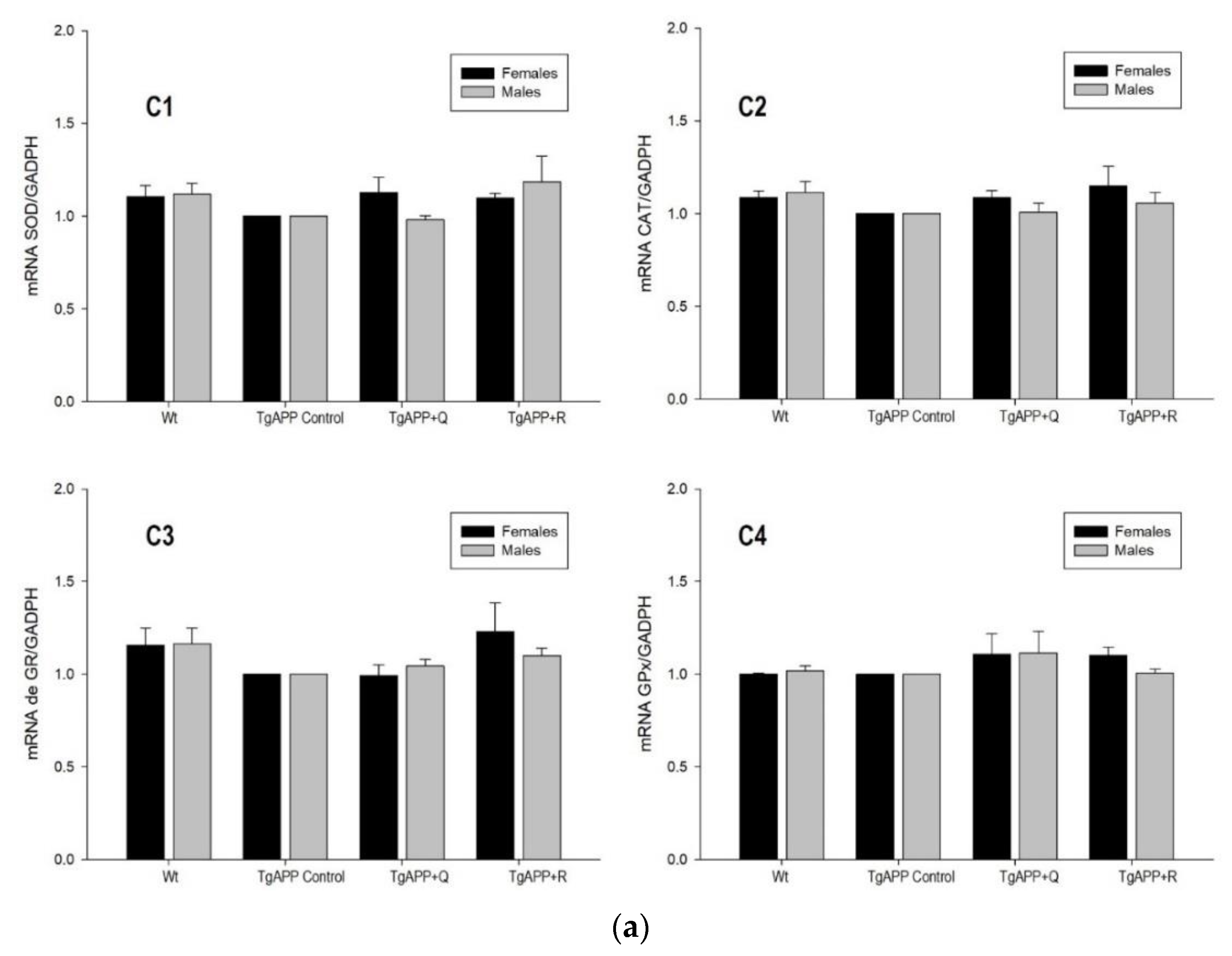 Ijms 24 04863 g005a Ijms 24 04863 g005a