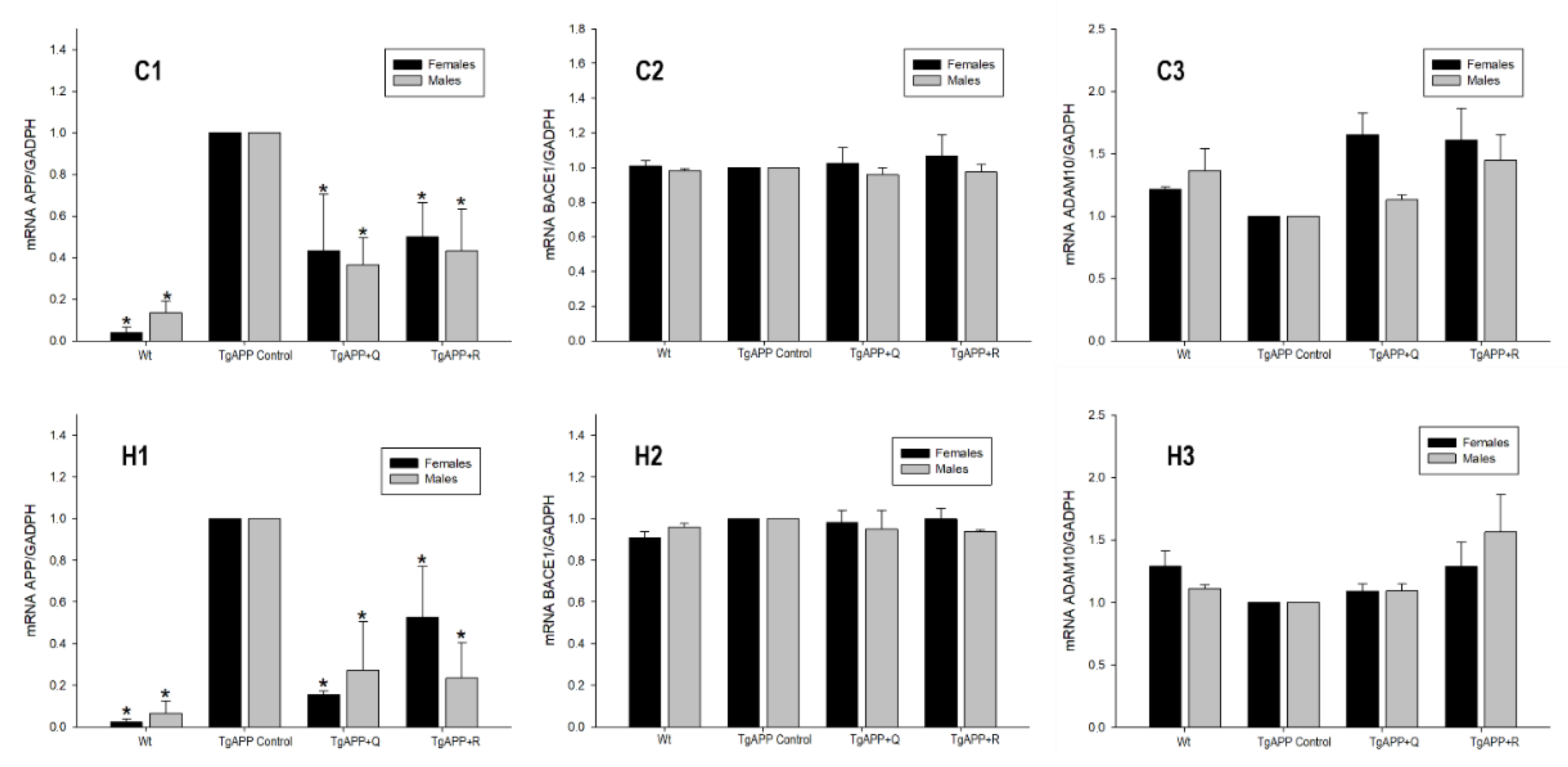 Ijms 24 04863 g007 Ijms 24 04863 g007