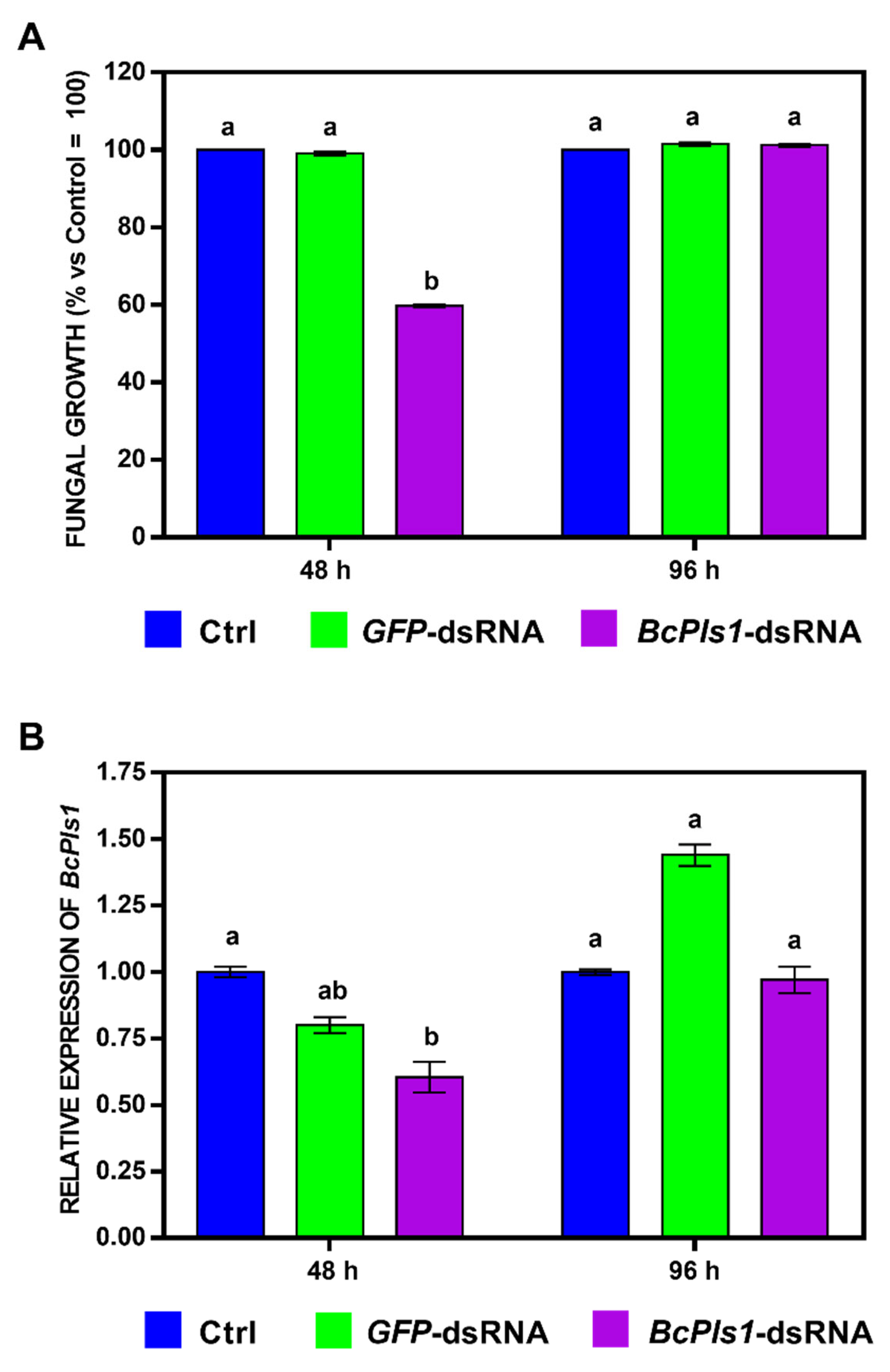 Ijms 24 04869 g002 Ijms 24 04869 g002