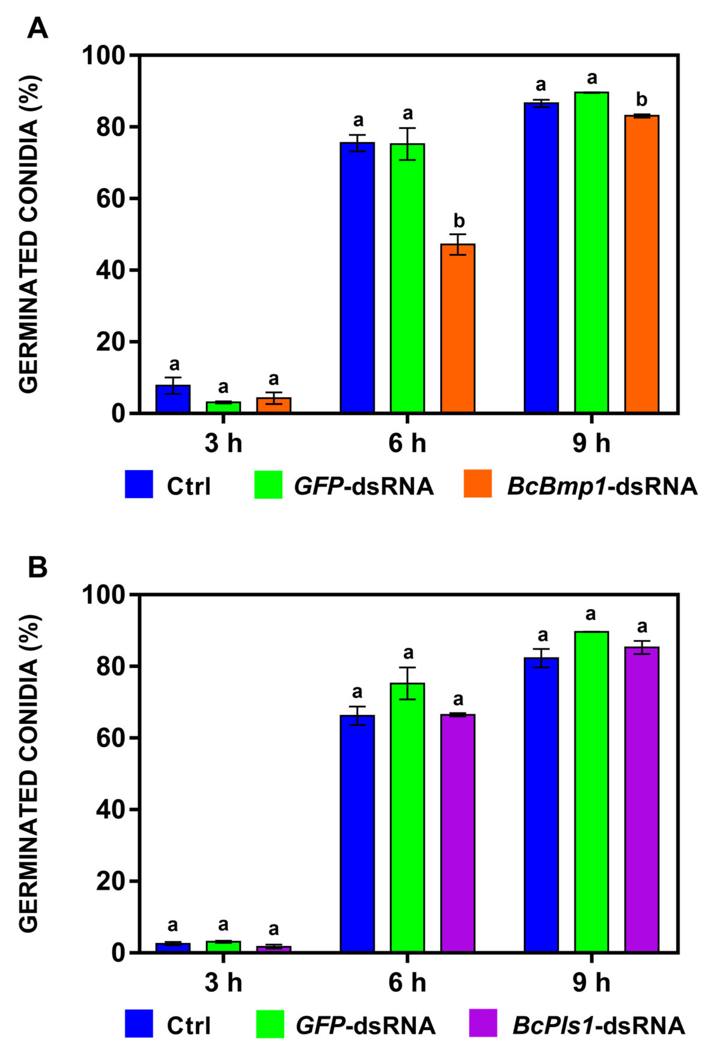 Ijms 24 04869 g003 Ijms 24 04869 g003