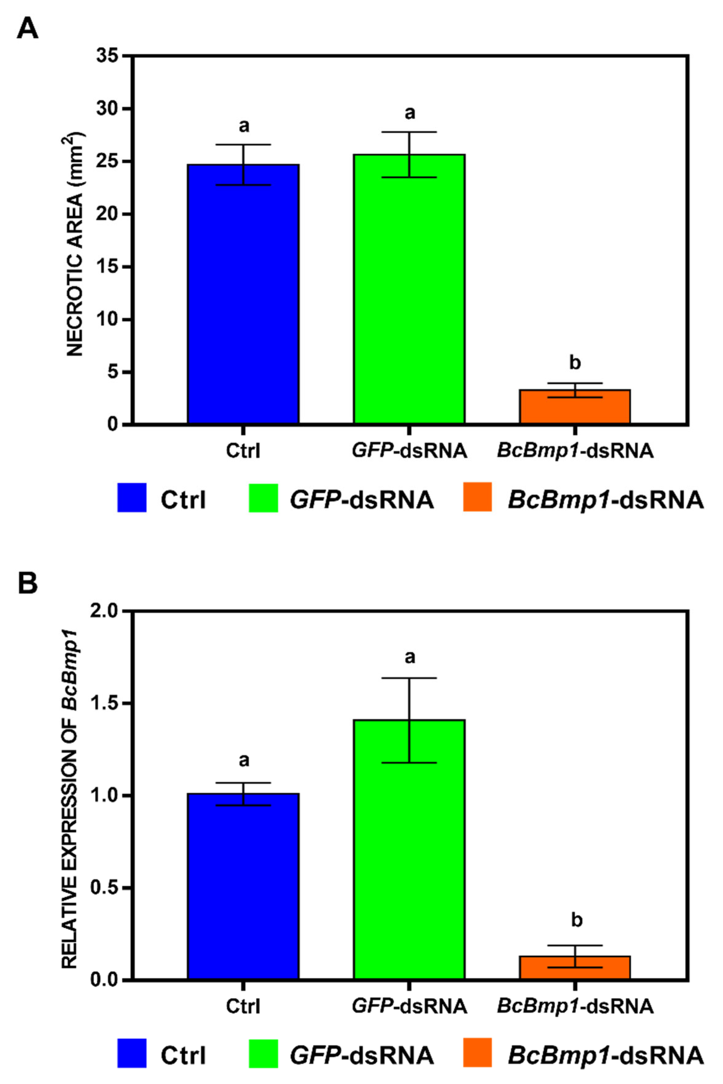 Ijms 24 04869 g005 Ijms 24 04869 g005