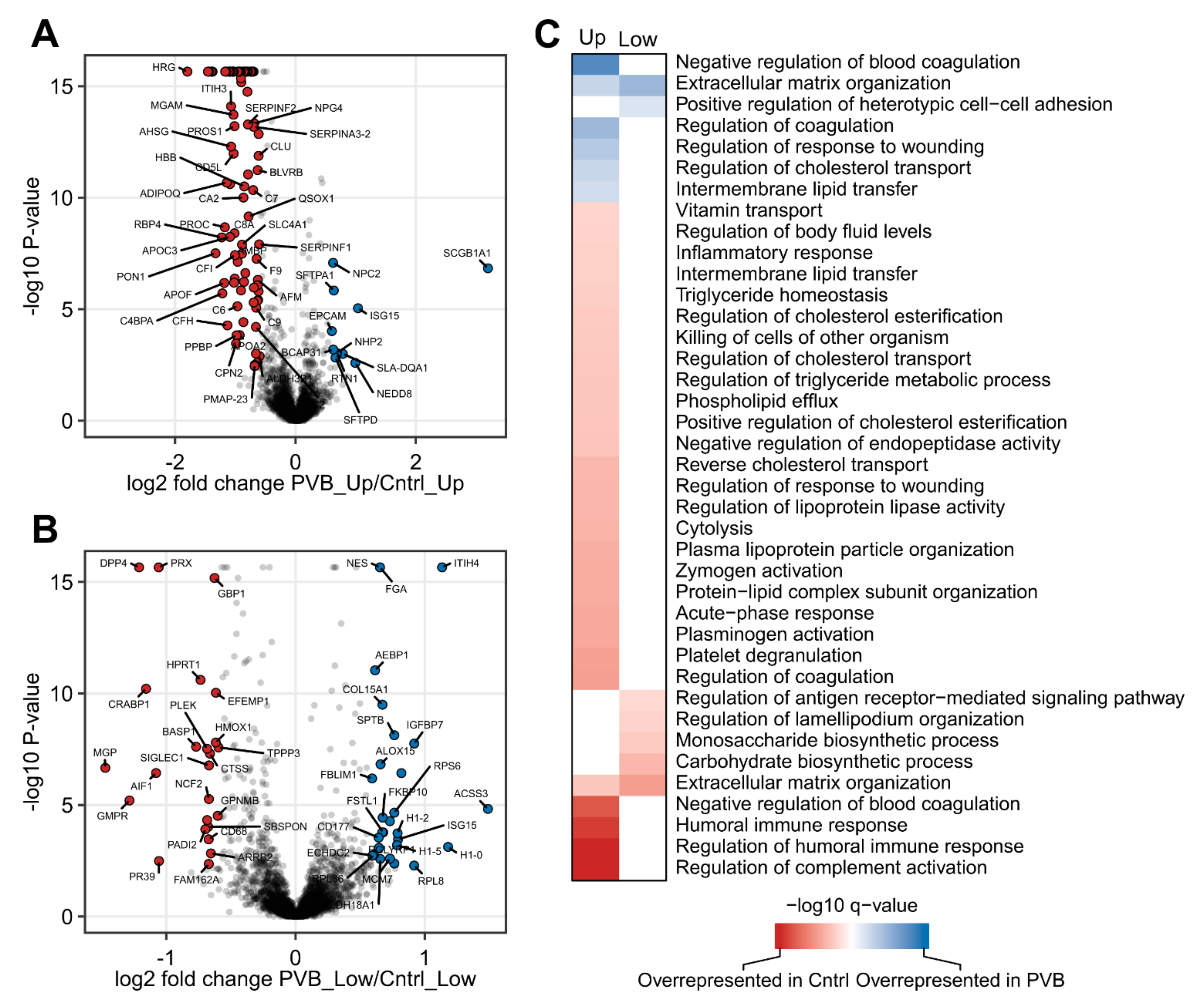 Ijms 24 04870 g003 Ijms 24 04870 g003