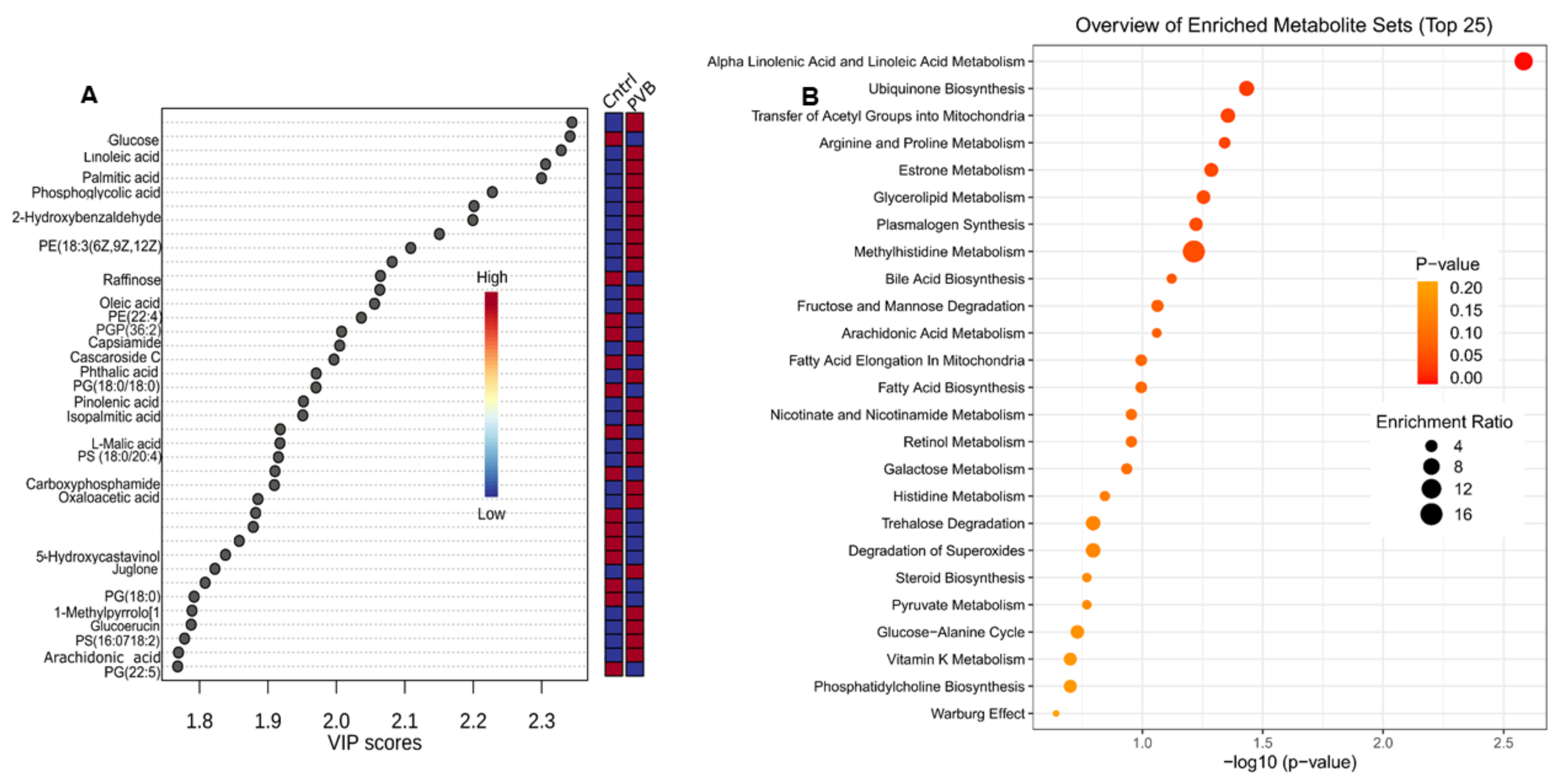 Ijms 24 04870 g005 Ijms 24 04870 g005