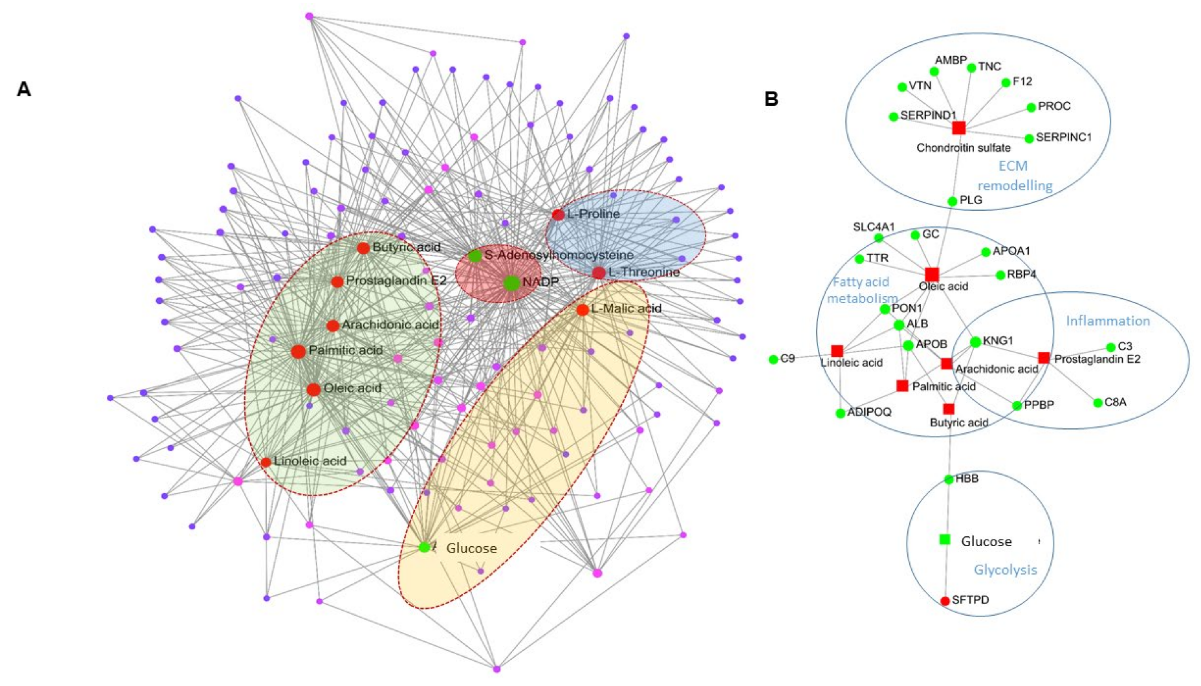Ijms 24 04870 g006 Ijms 24 04870 g006