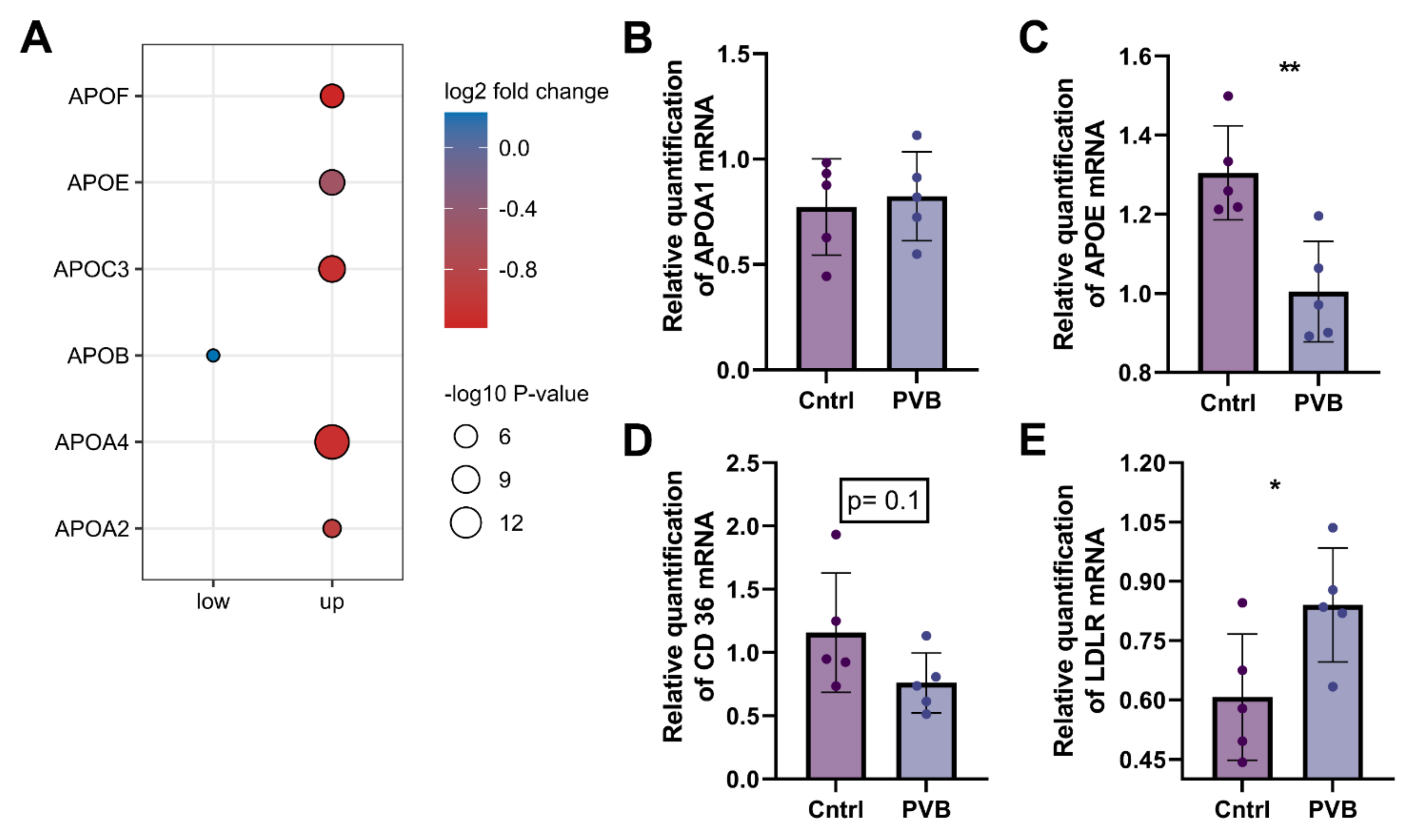 Ijms 24 04870 g007 Ijms 24 04870 g007