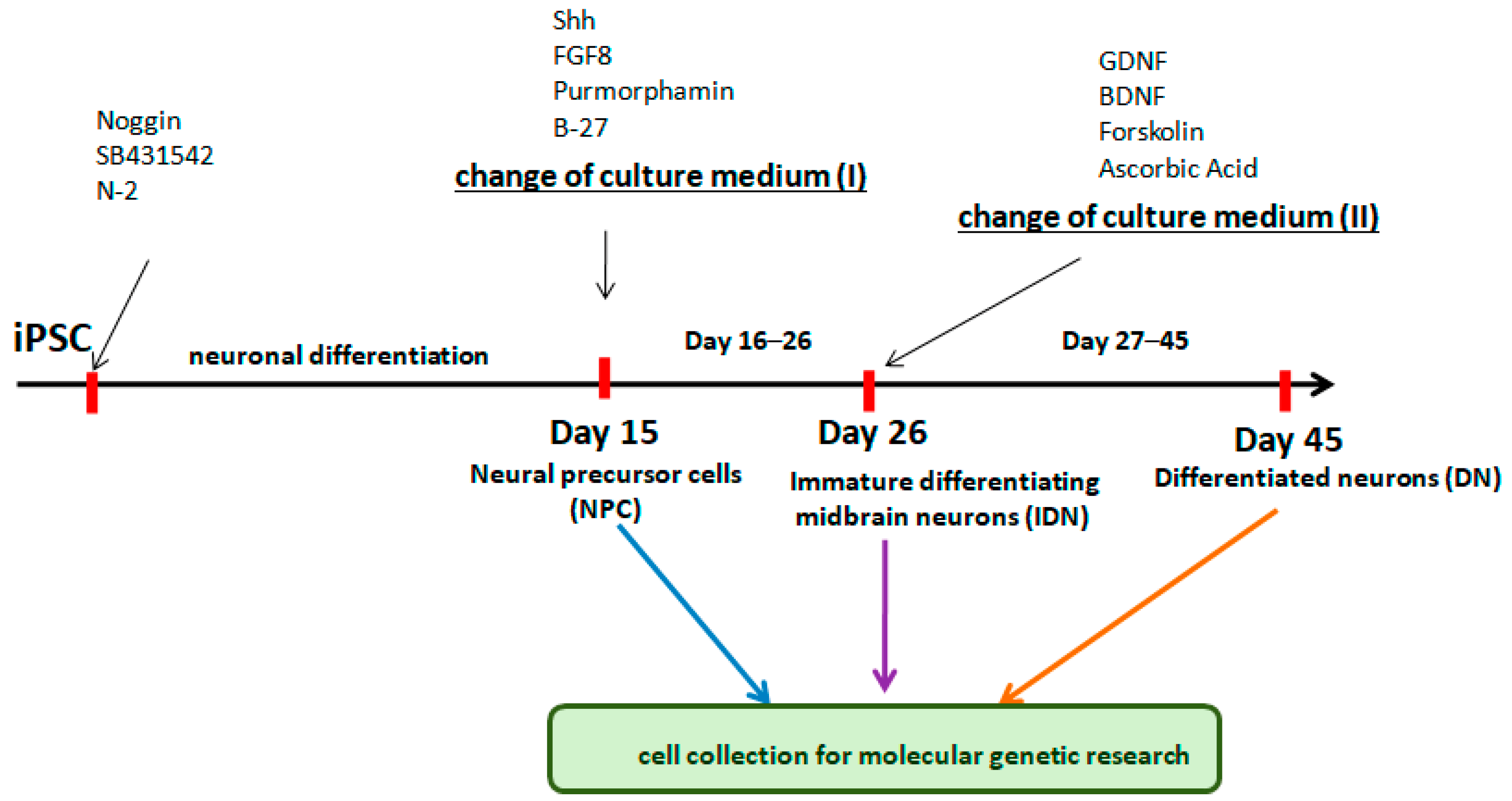 Ijms 24 04871 g001 Ijms 24 04871 g001