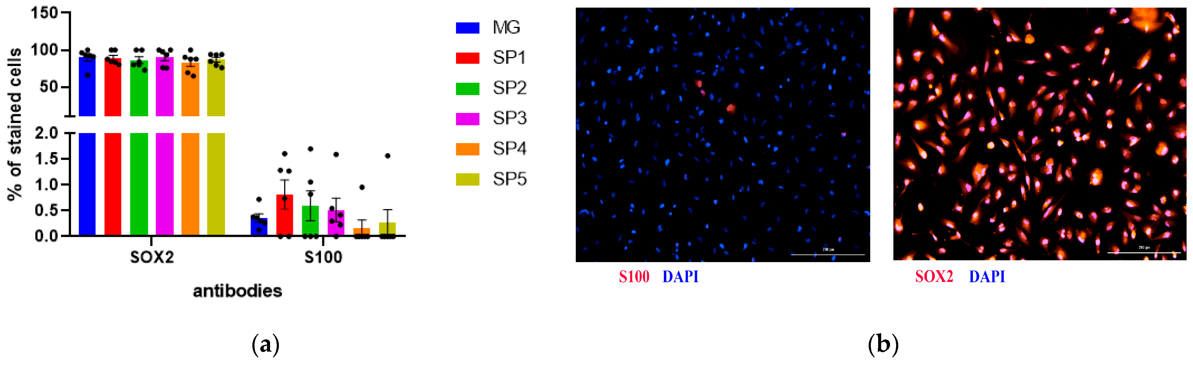 Ijms 24 04871 g004 Ijms 24 04871 g004