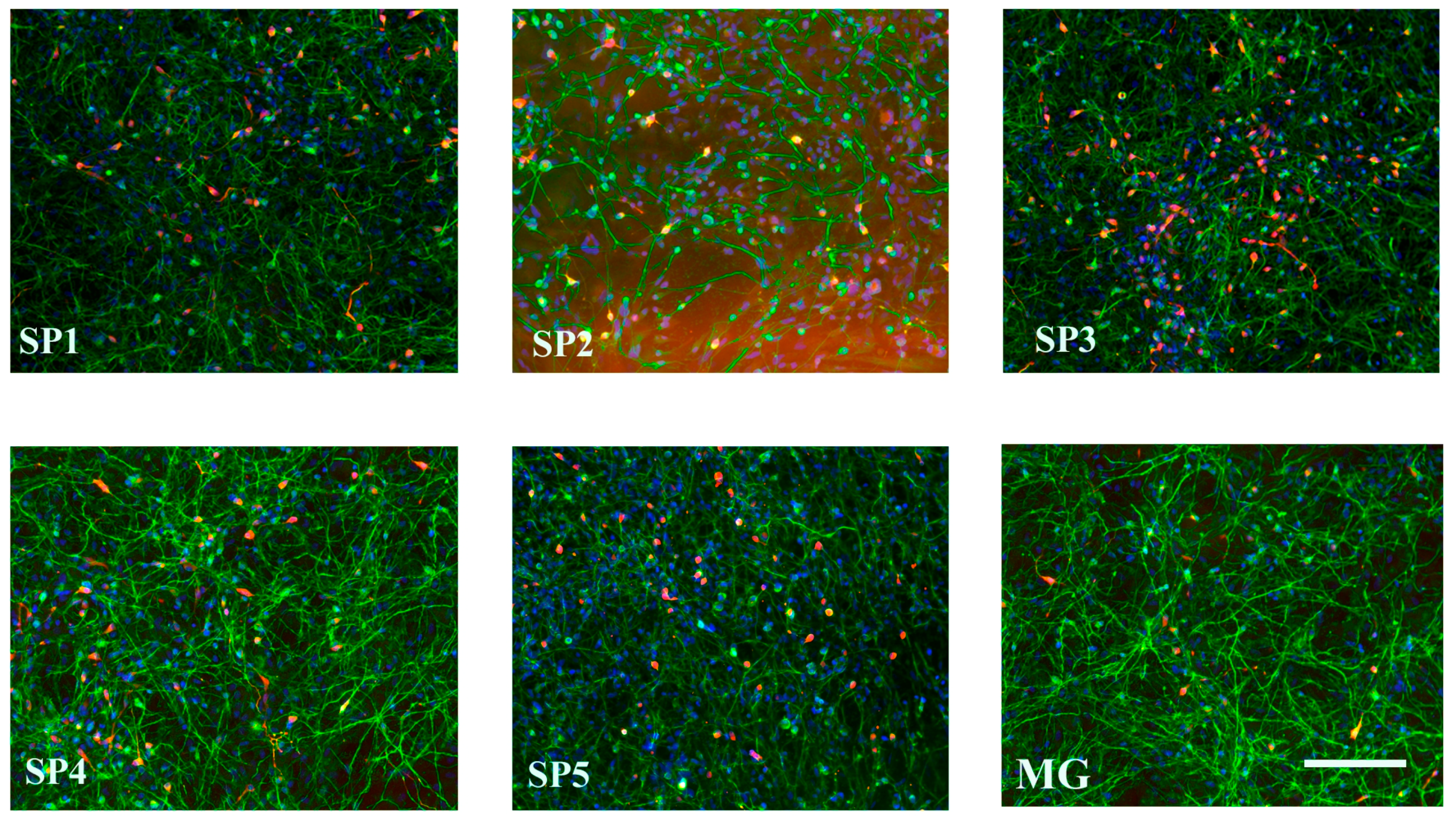 Ijms 24 04871 g008 Ijms 24 04871 g008