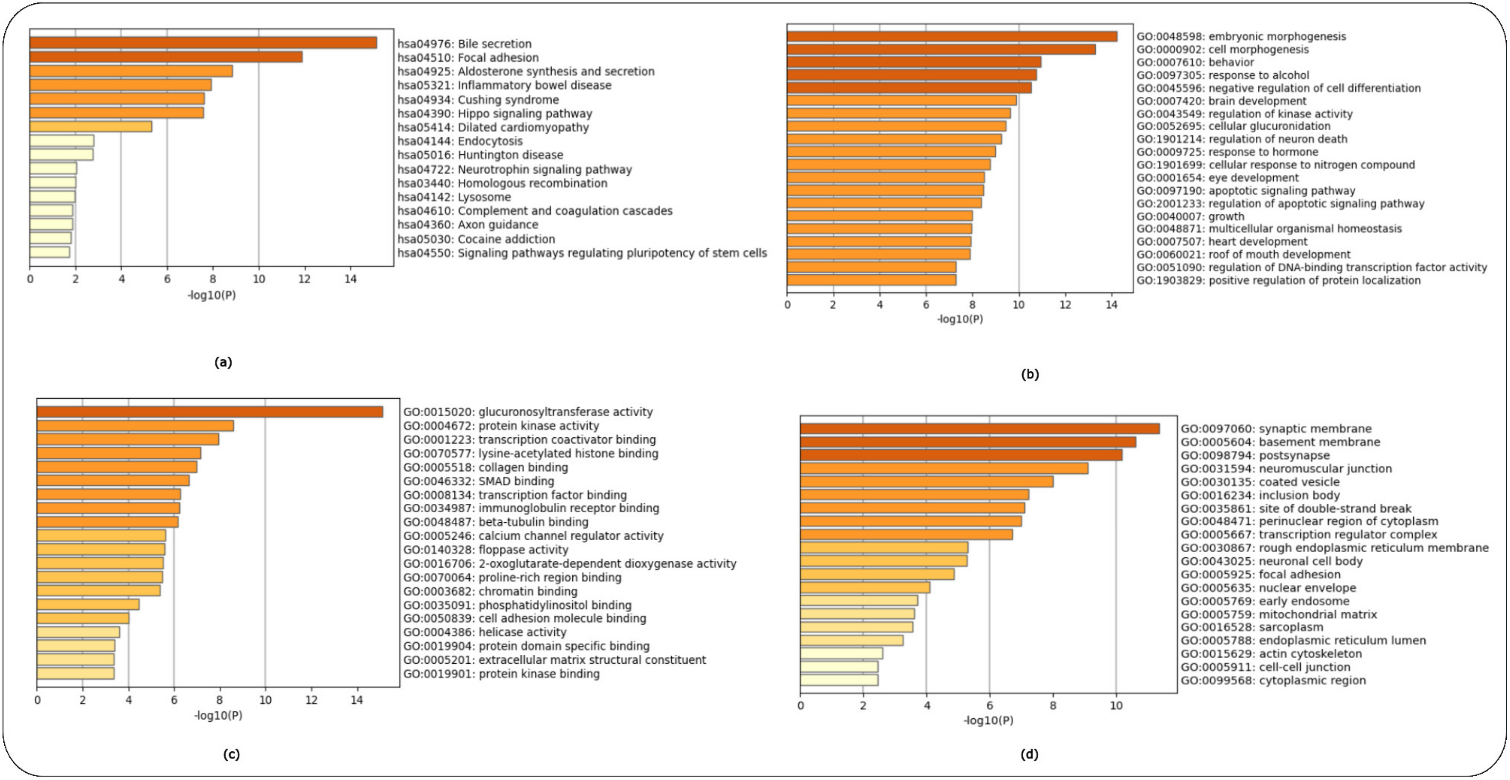 Ijms 24 04873 g003 Ijms 24 04873 g003