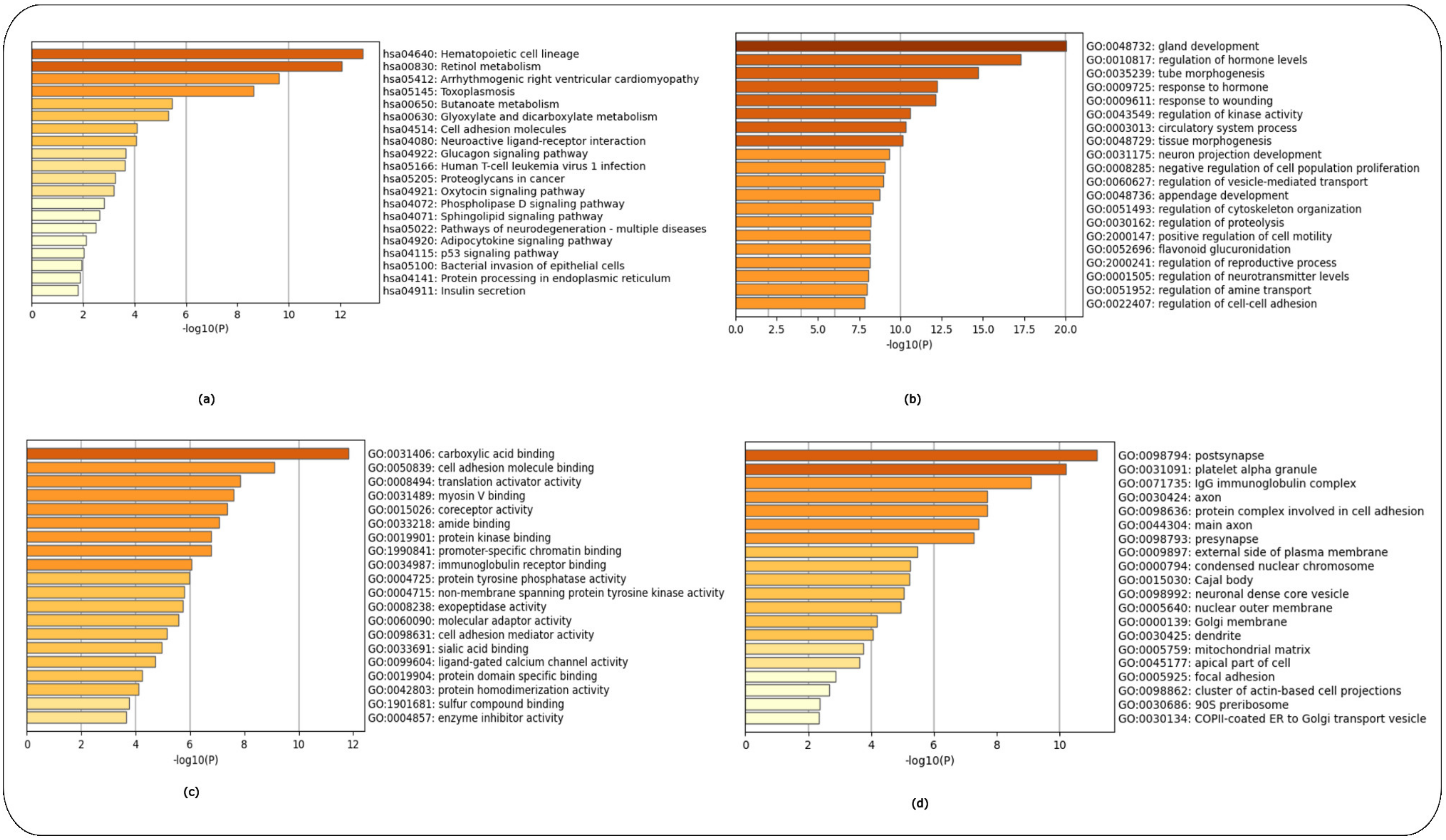 Ijms 24 04873 g005 Ijms 24 04873 g005