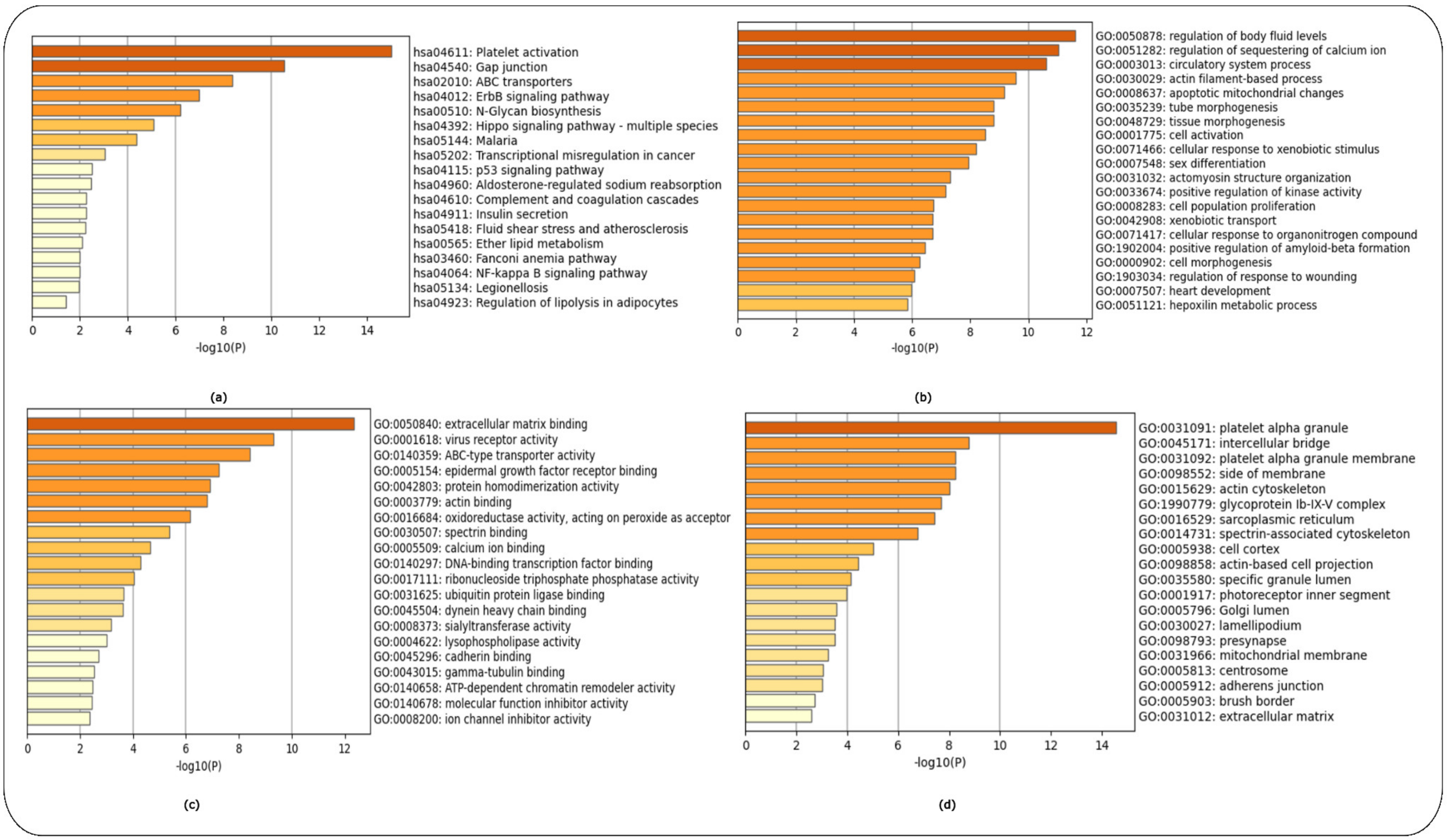Ijms 24 04873 g006 Ijms 24 04873 g006
