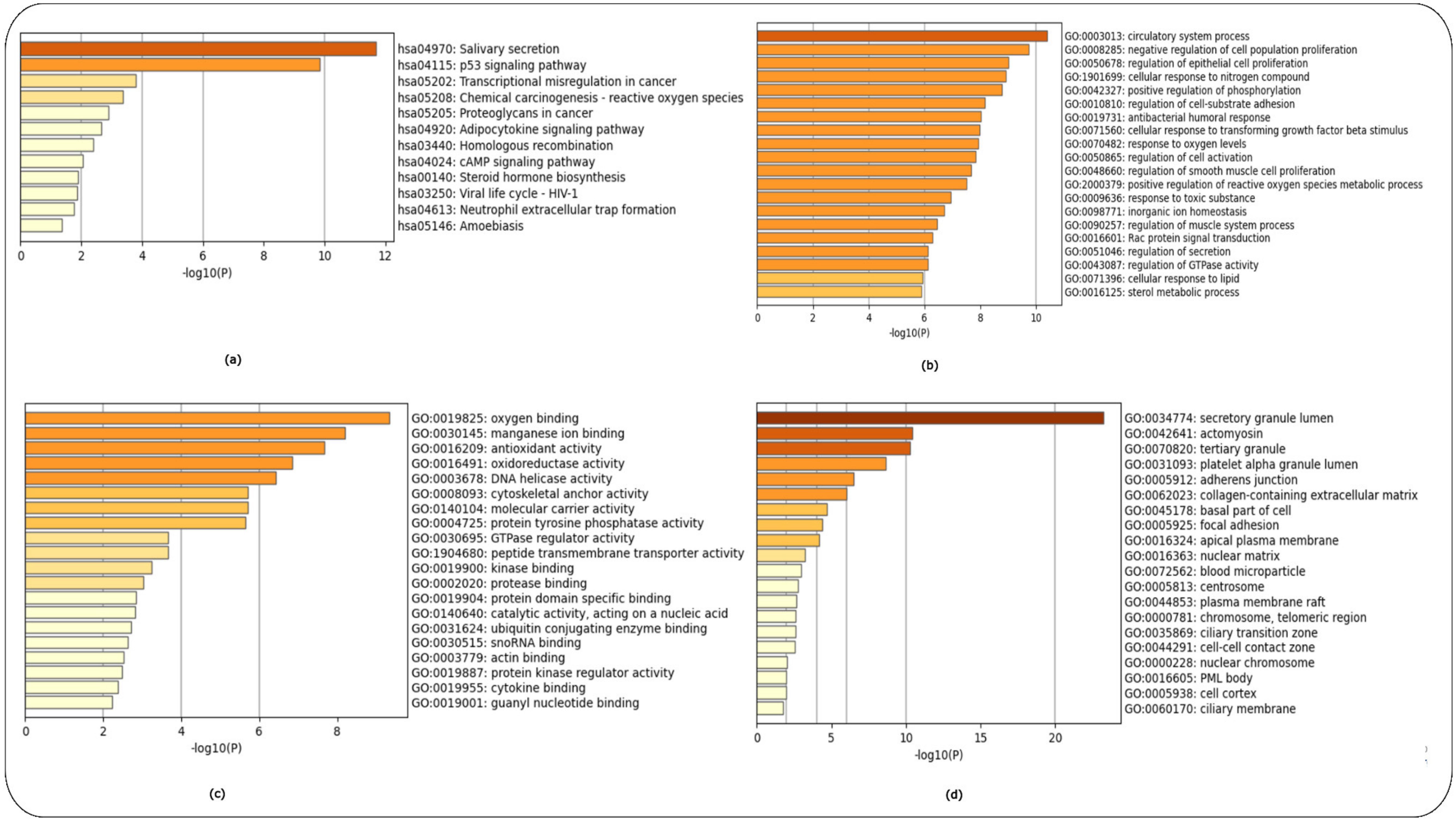 Ijms 24 04873 g007 Ijms 24 04873 g007