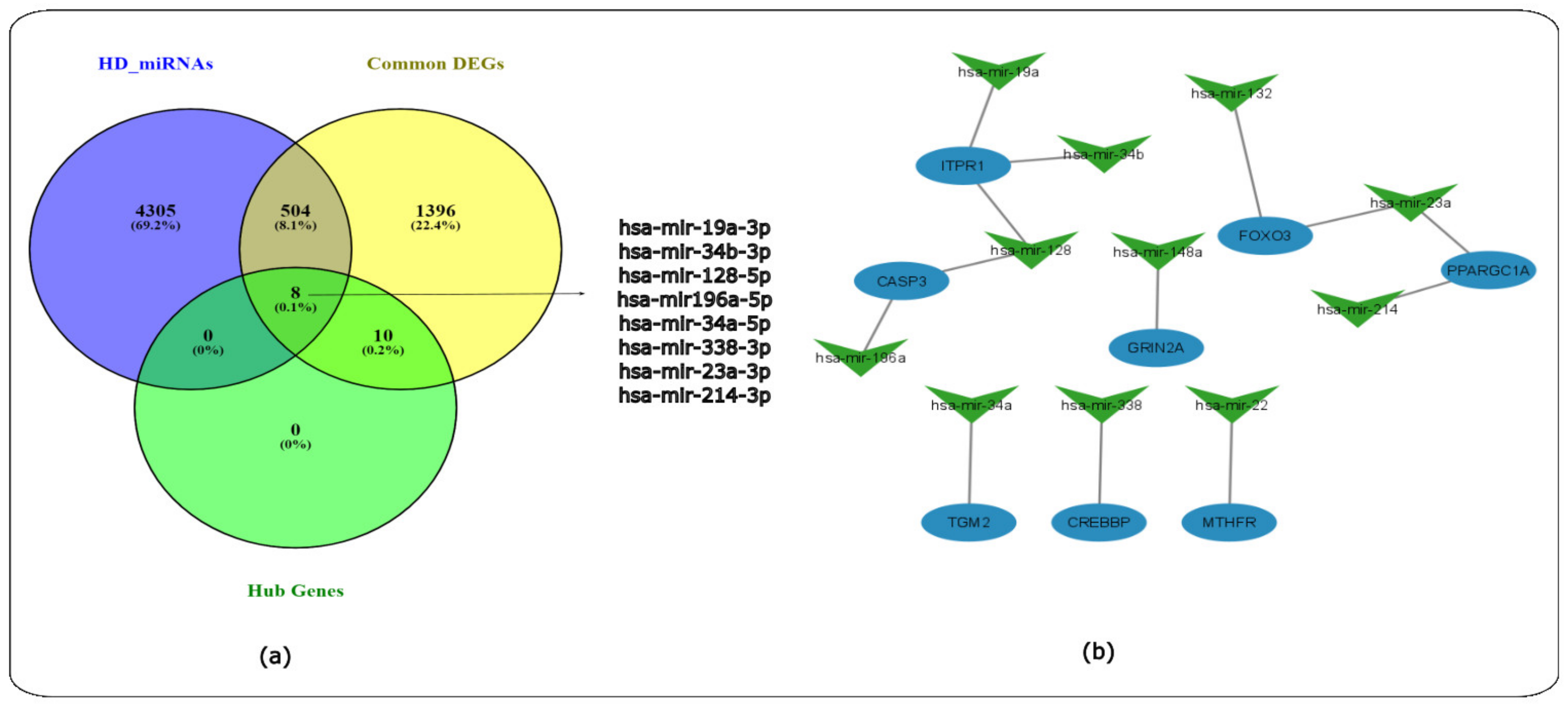 Ijms 24 04873 g014 Ijms 24 04873 g014