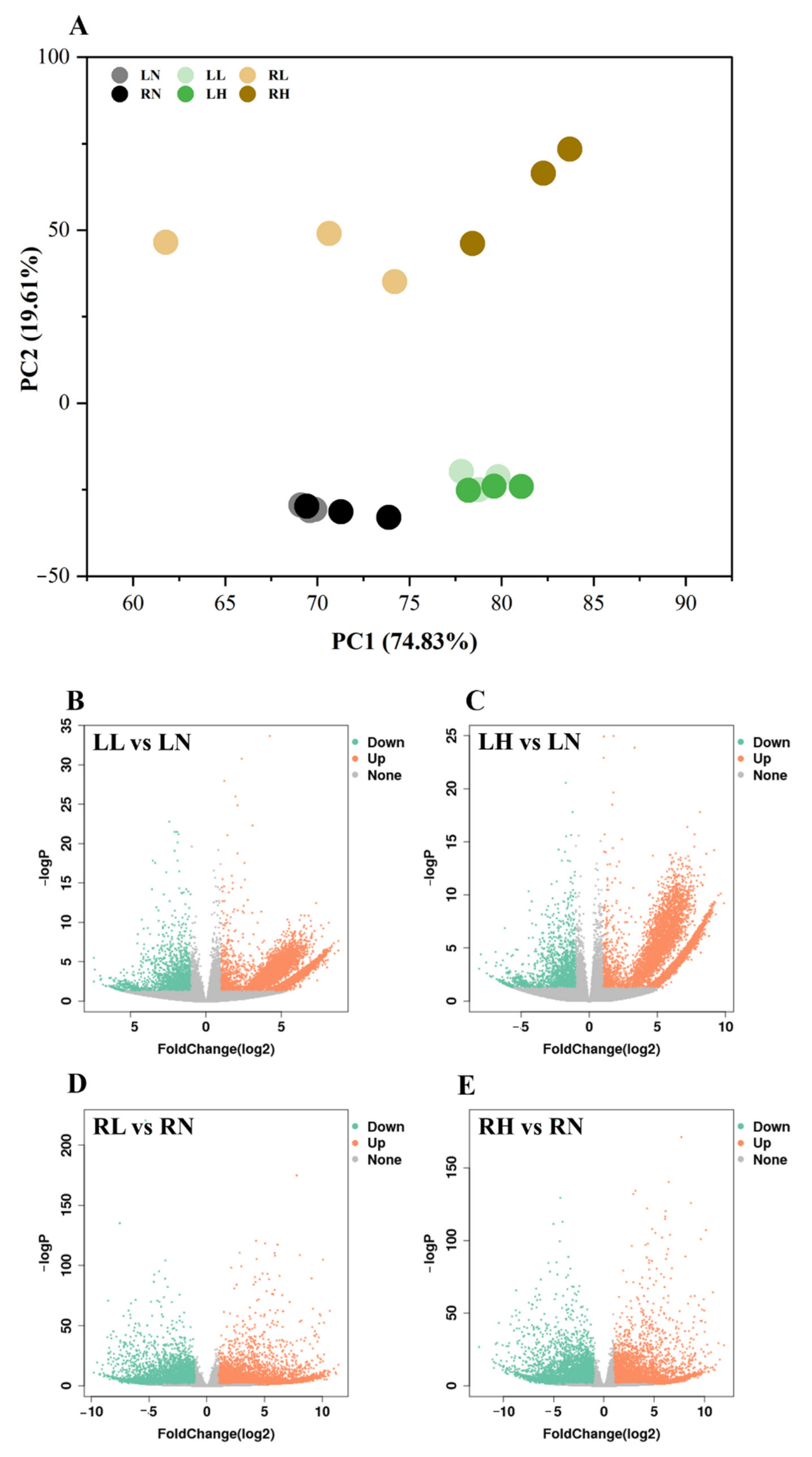 Ijms 24 04874 g002 Ijms 24 04874 g002