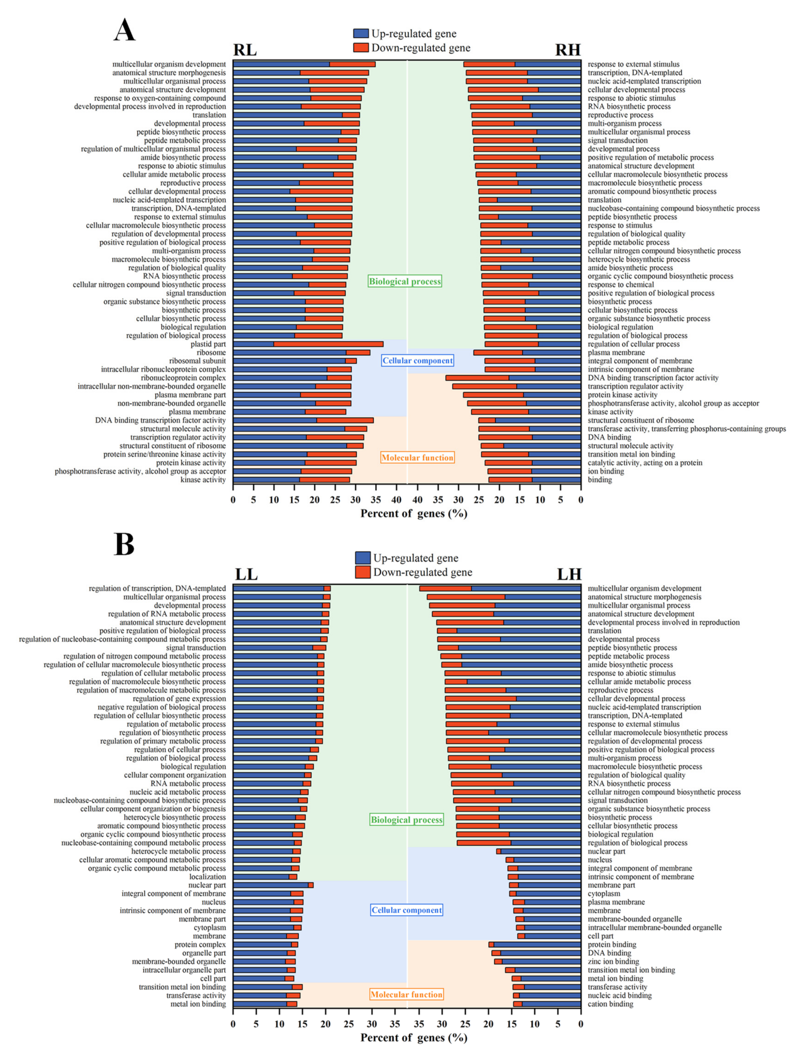 Ijms 24 04874 g004 Ijms 24 04874 g004