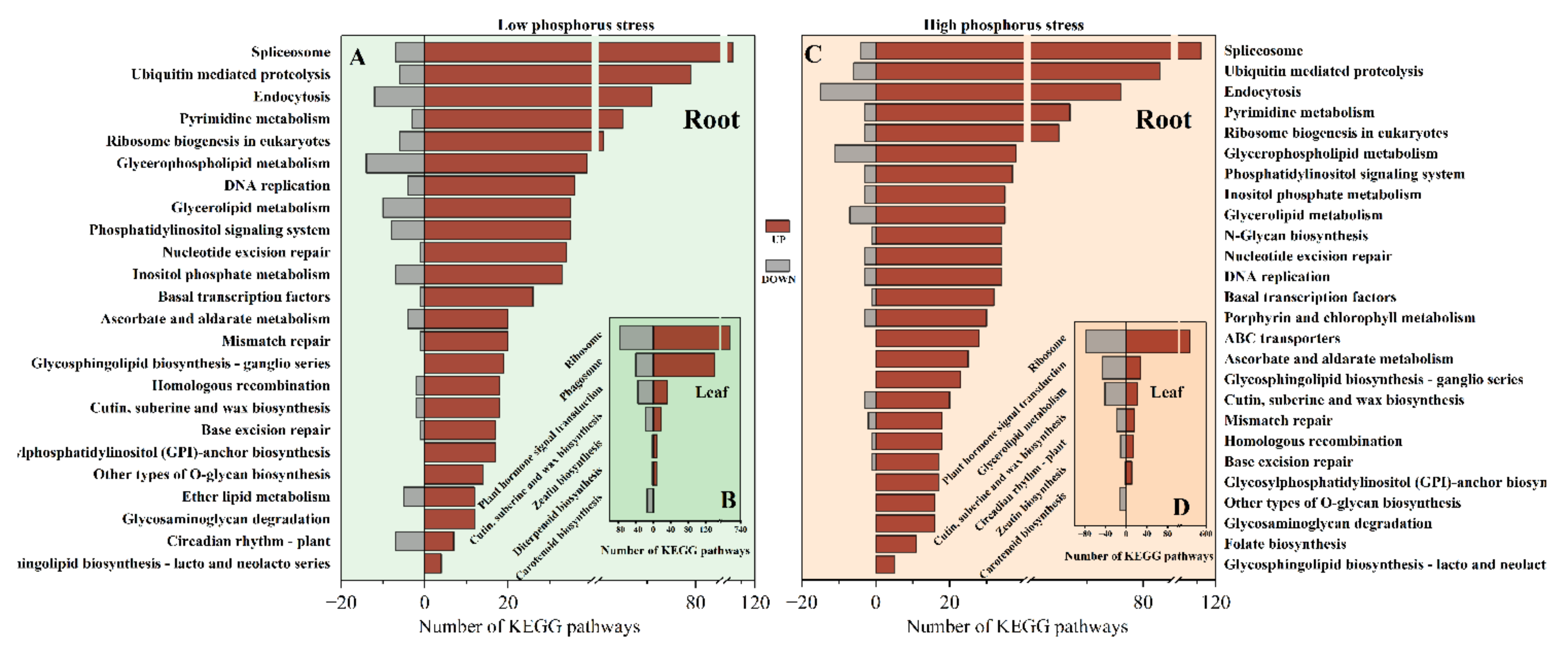 Ijms 24 04874 g006 Ijms 24 04874 g006