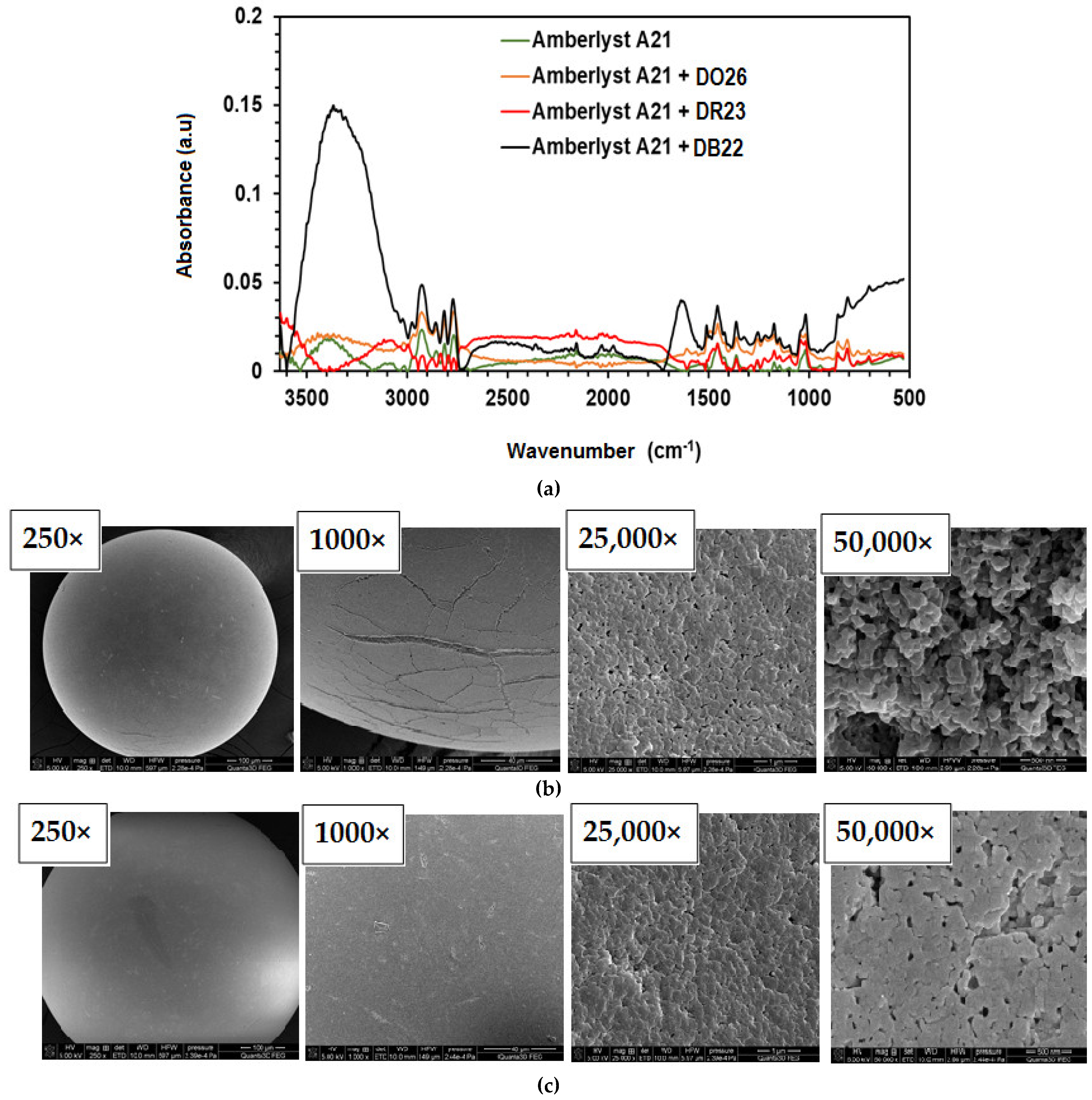 Ijms 24 04886 g004 Ijms 24 04886 g004
