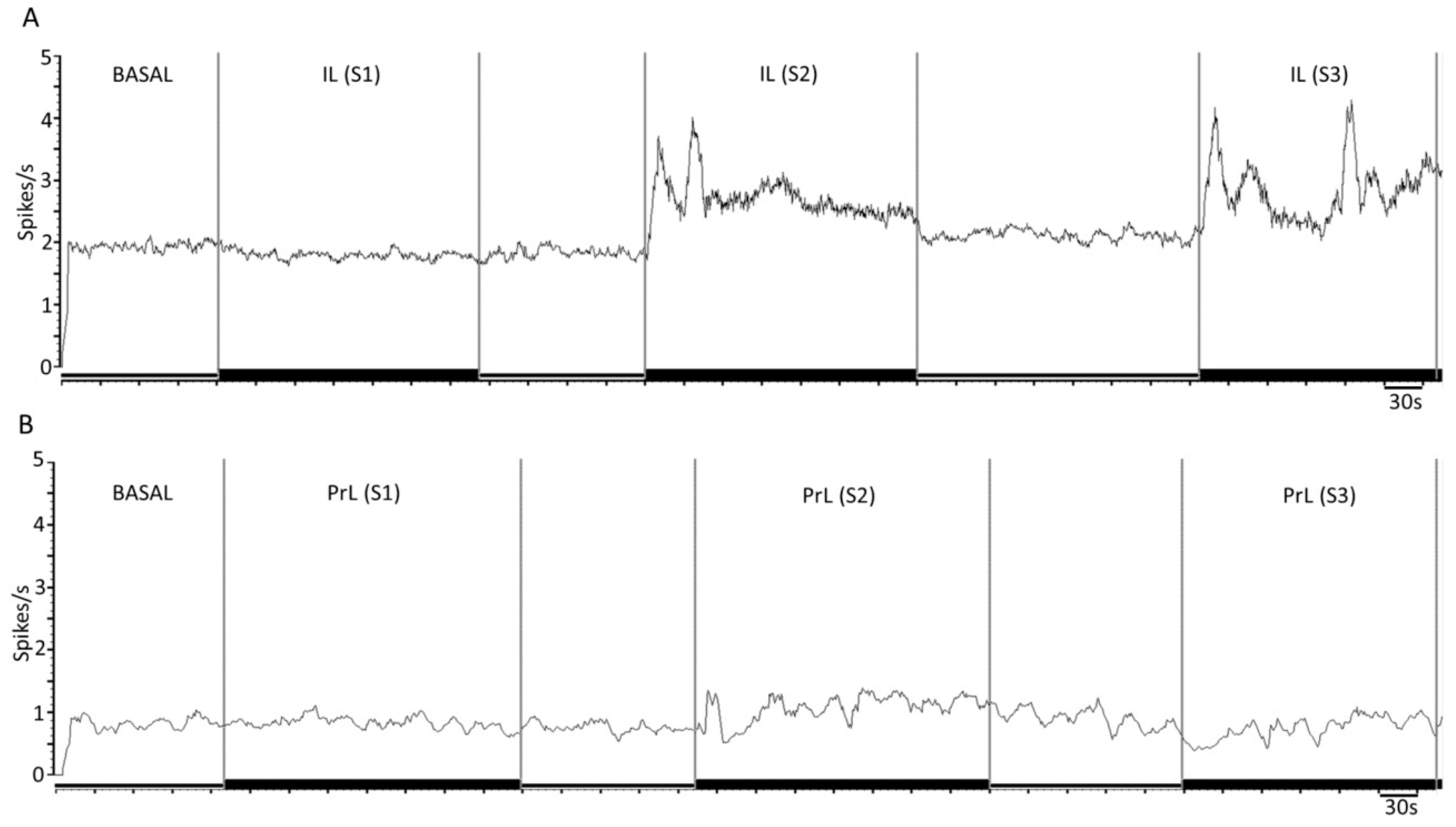 Ijms 24 04891 g003 Ijms 24 04891 g003