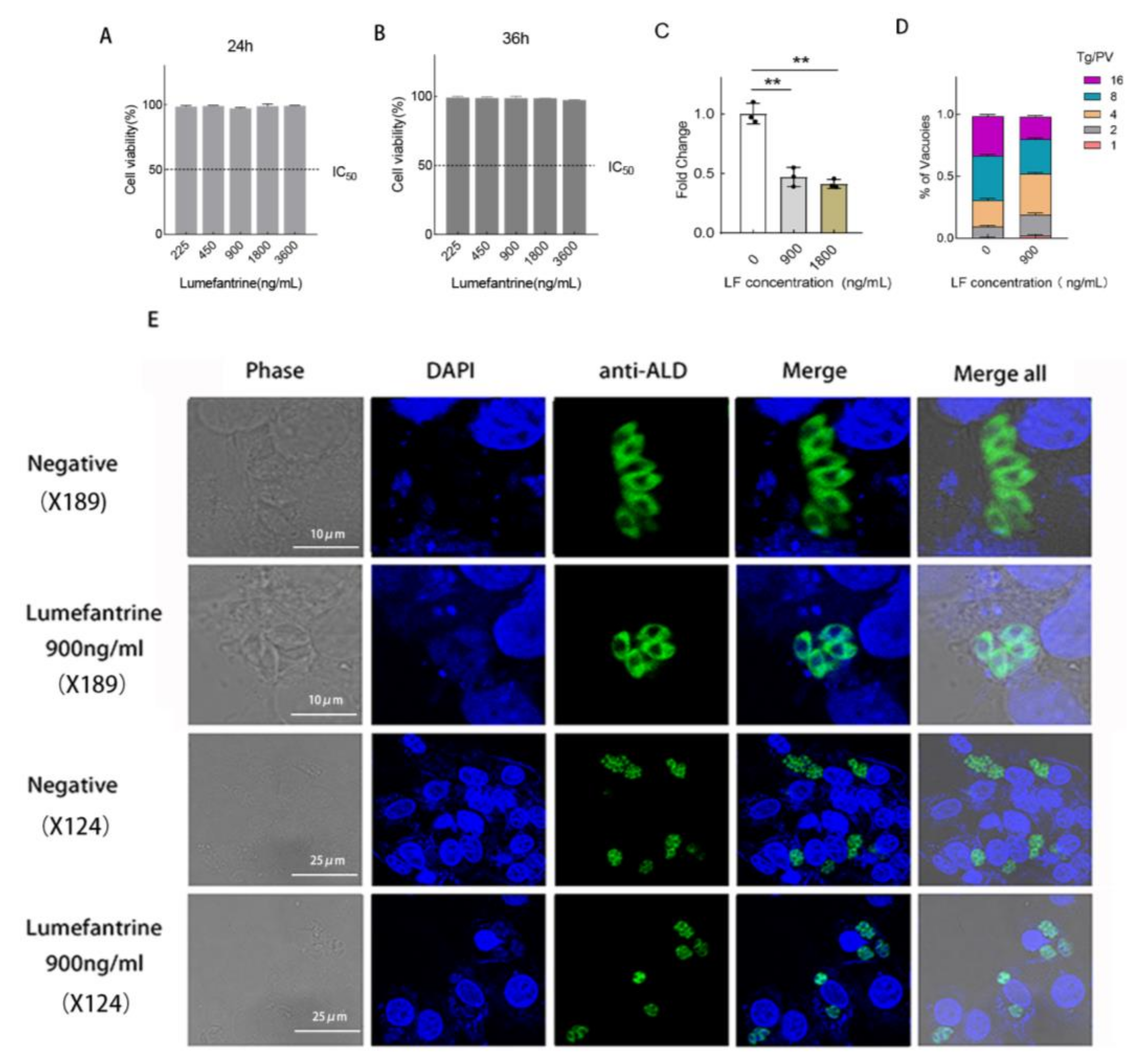 Ijms 24 04902 g001 Ijms 24 04902 g001