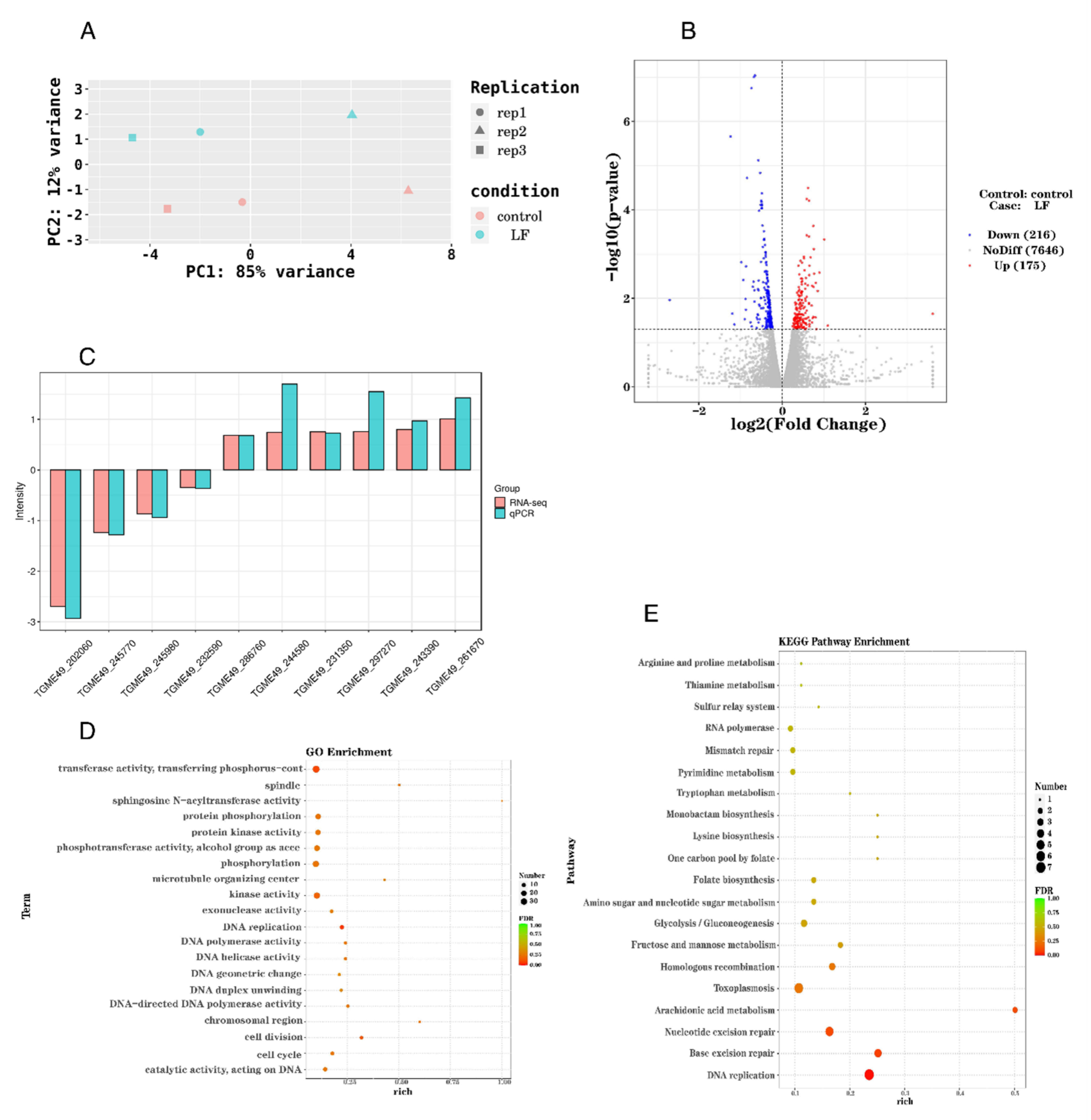 Ijms 24 04902 g002 Ijms 24 04902 g002