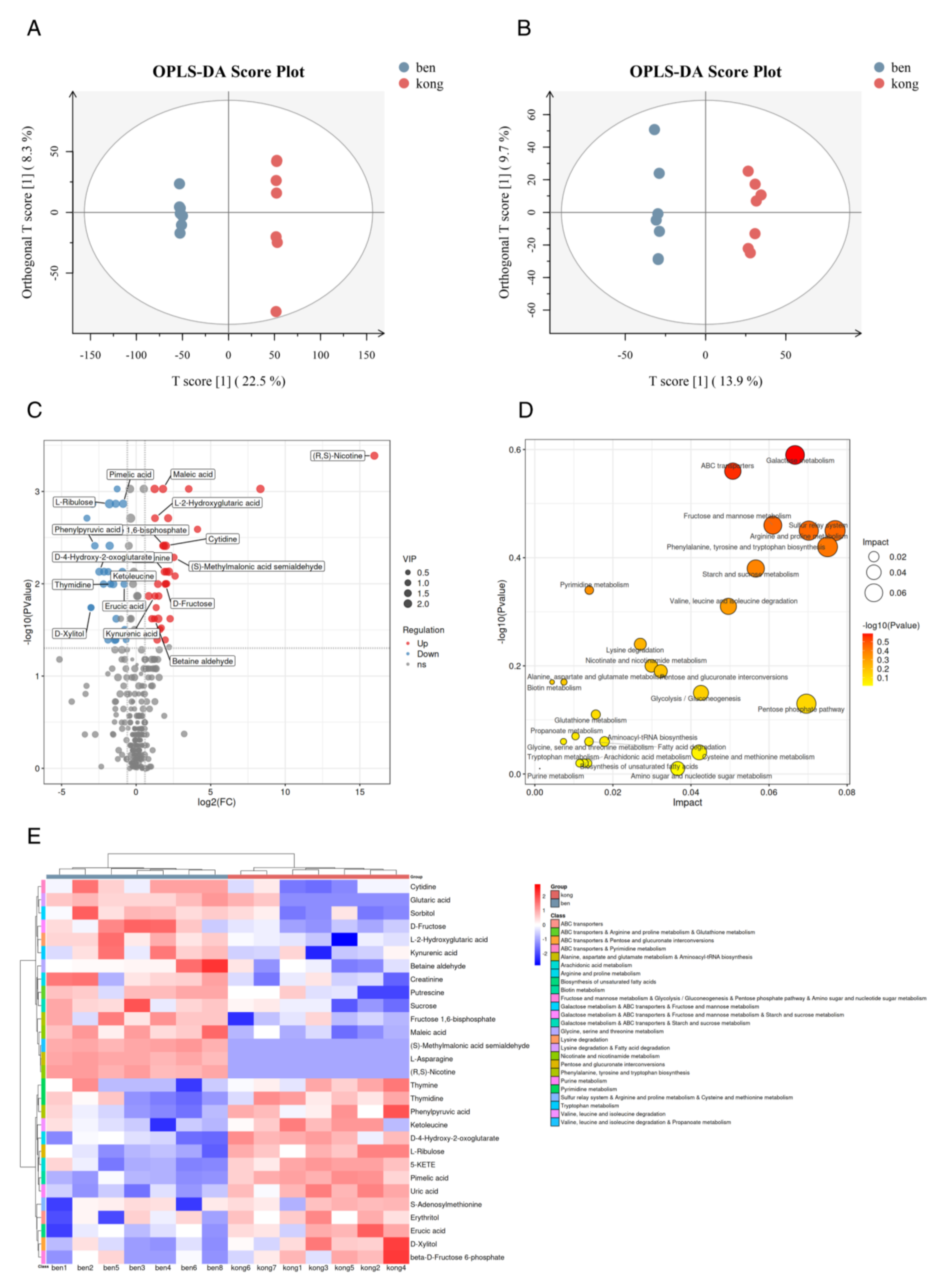 Ijms 24 04902 g004 Ijms 24 04902 g004