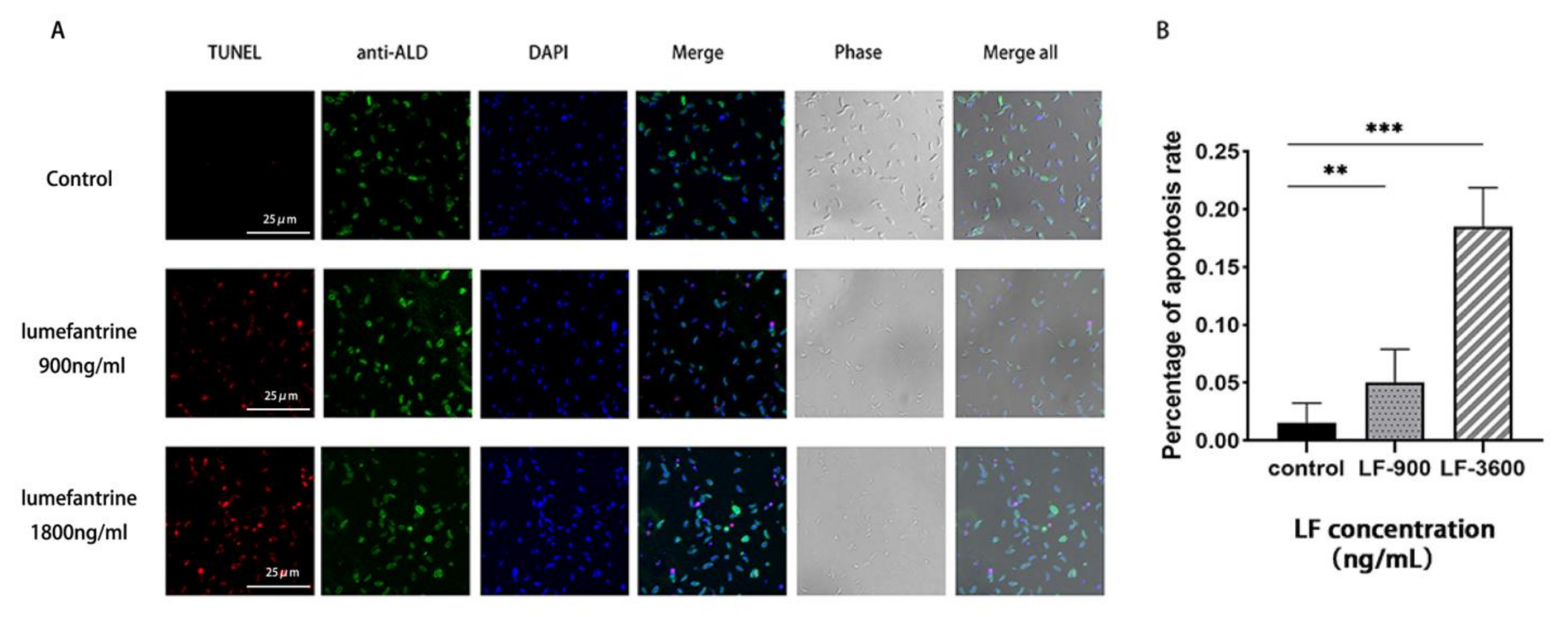 Ijms 24 04902 g005 Ijms 24 04902 g005