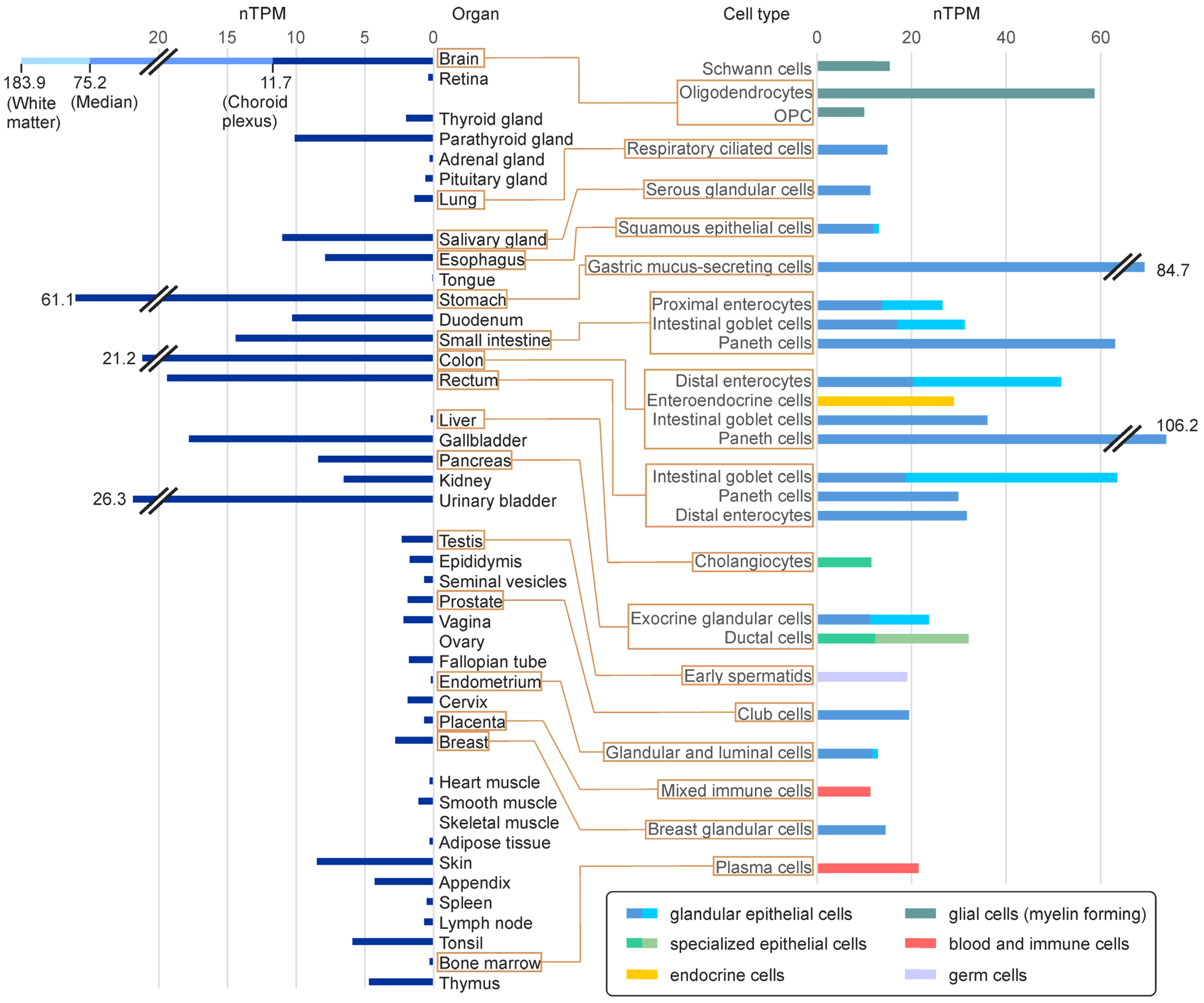 Ijms 24 04908 g004 Ijms 24 04908 g004