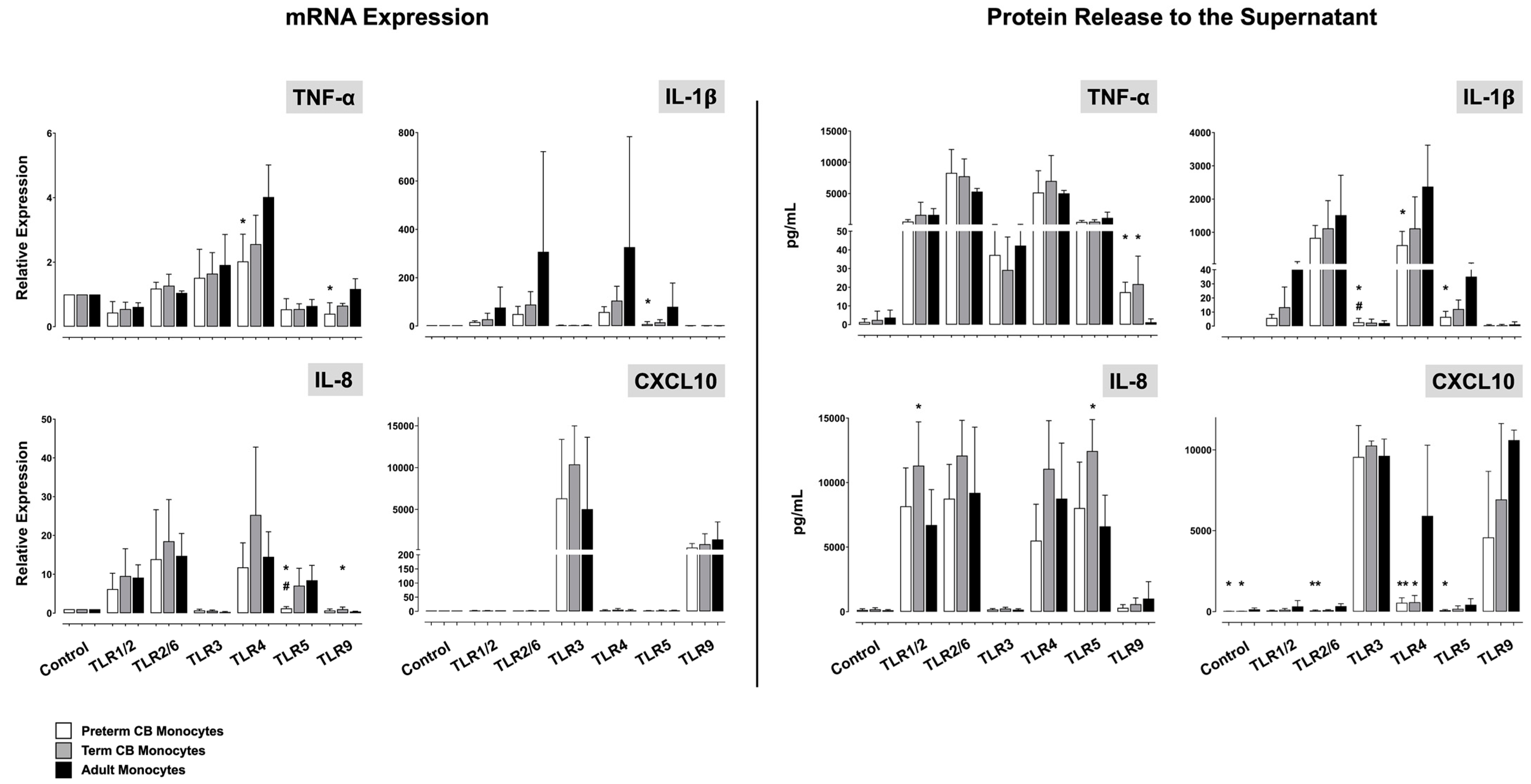 Ijms 24 04919 g001 Ijms 24 04919 g001