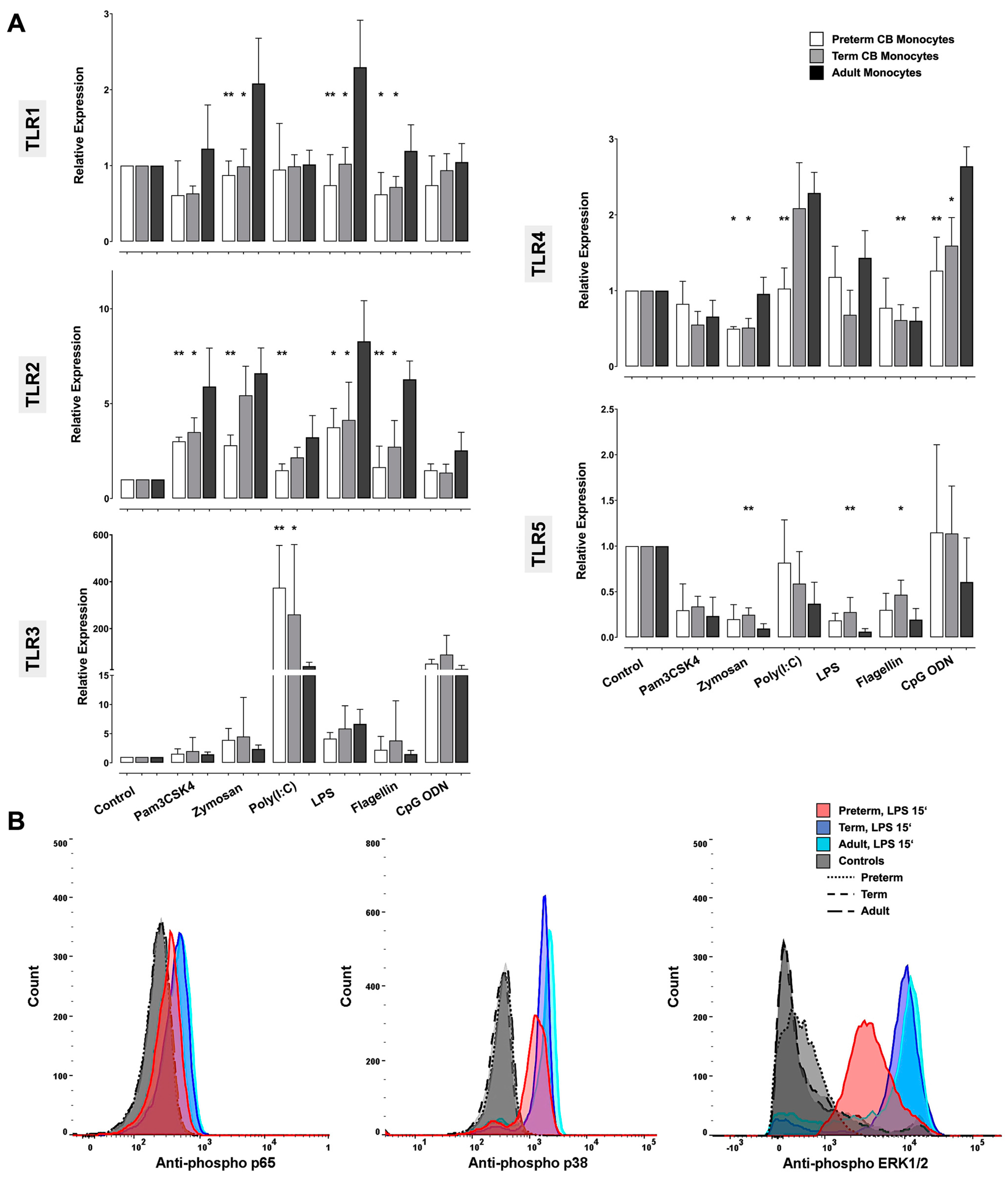 Ijms 24 04919 g003 Ijms 24 04919 g003