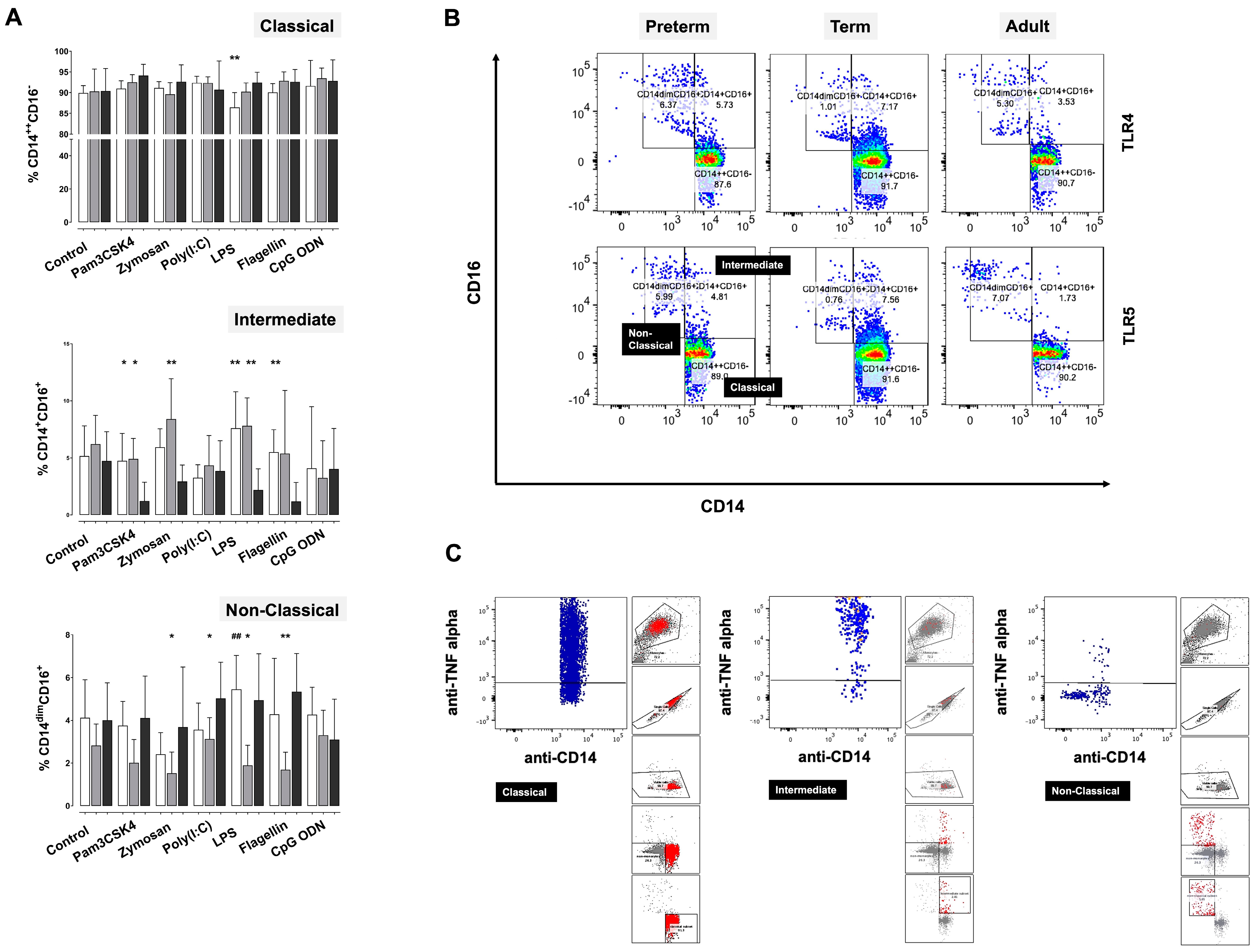 Ijms 24 04919 g004 Ijms 24 04919 g004