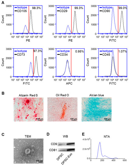 Dental Pulp Stem Cell-Derived Exosomes Alleviate Mice Knee