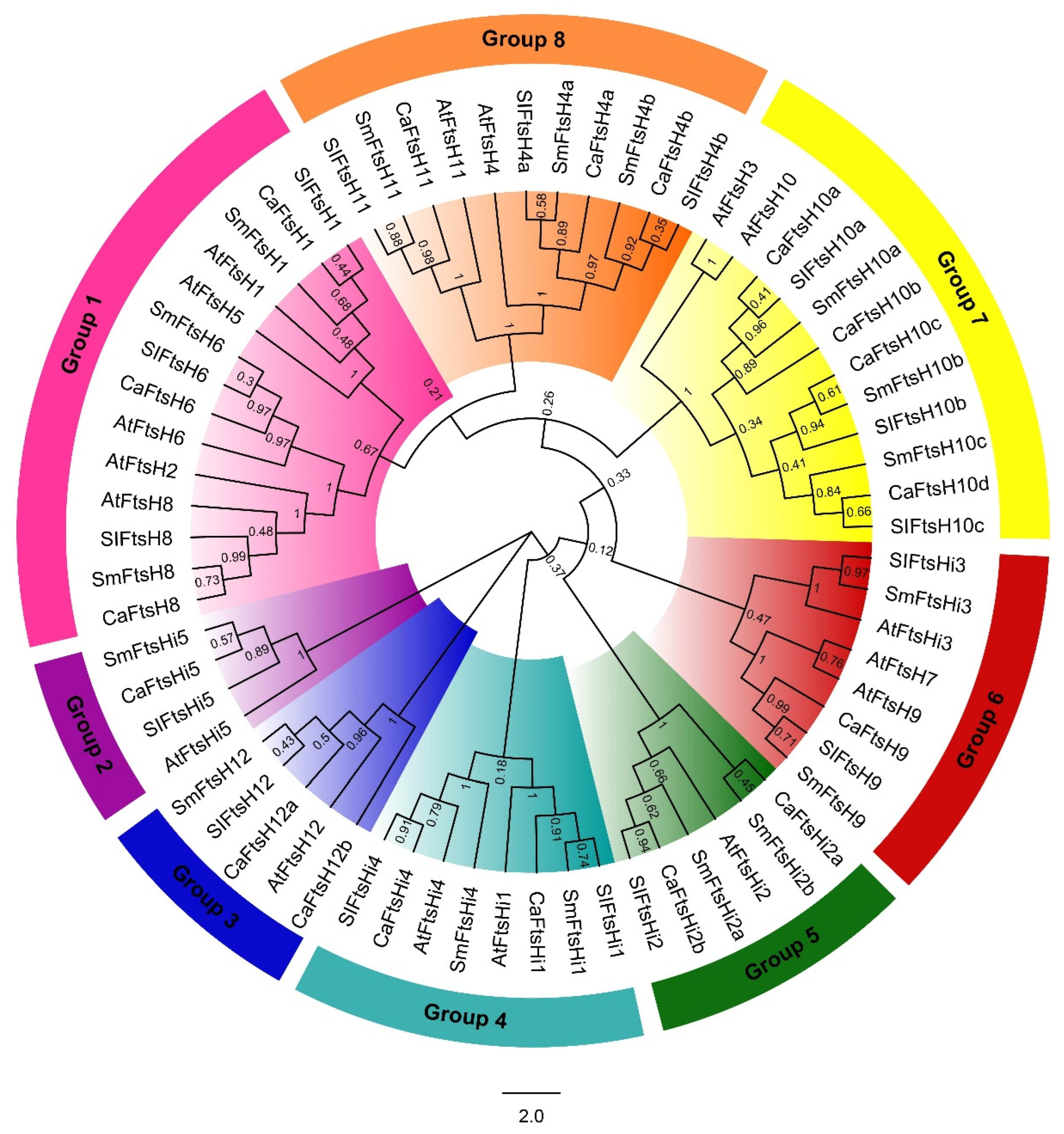 Ijms 24 04927 g001 Ijms 24 04927 g001