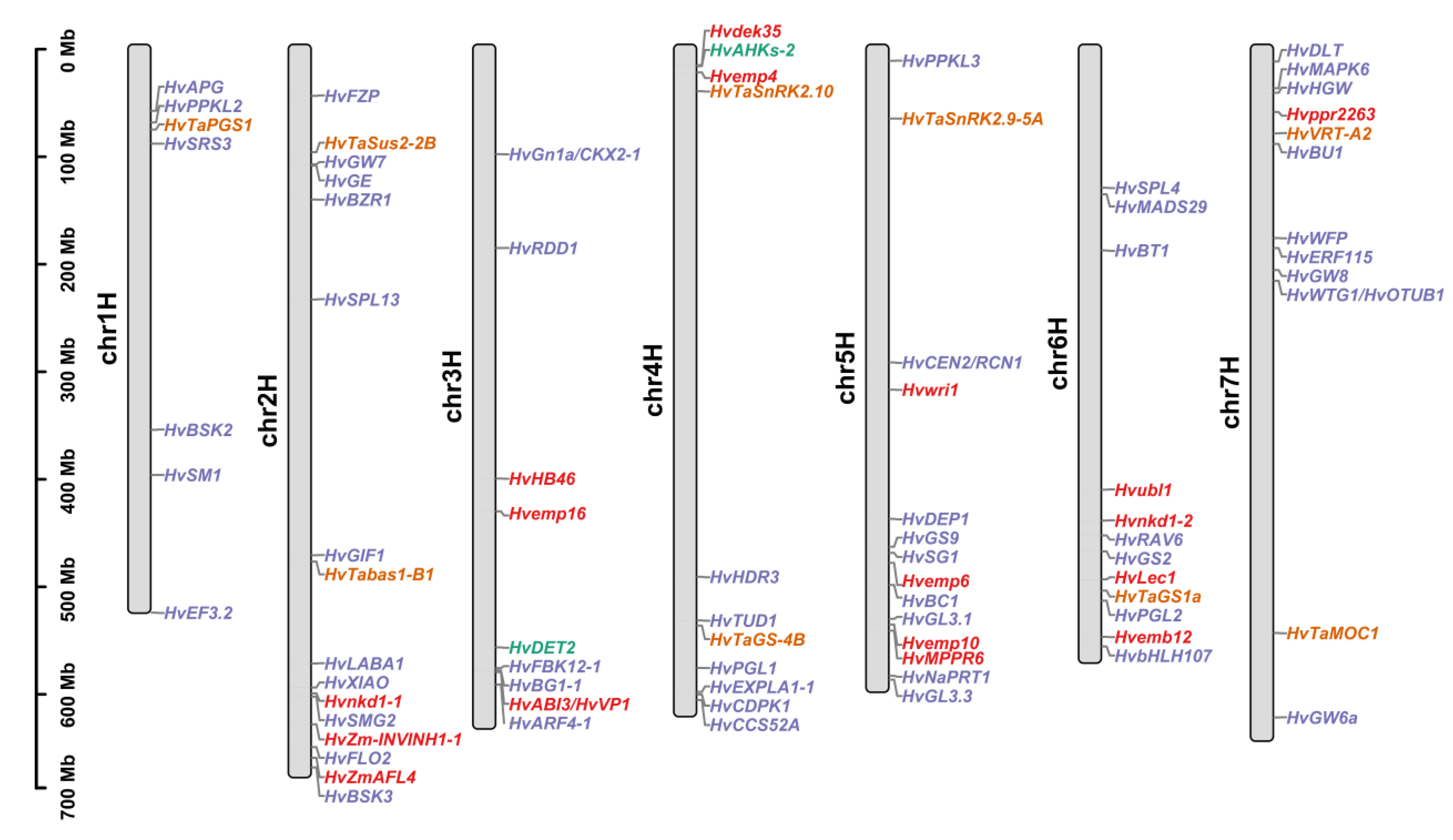 Ijms 24 04932 g002 Ijms 24 04932 g002