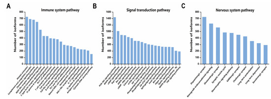 KRRORIGINAL 　 BOMBARDERO　GENOME Chromosome-level genome assembly of the planthopper