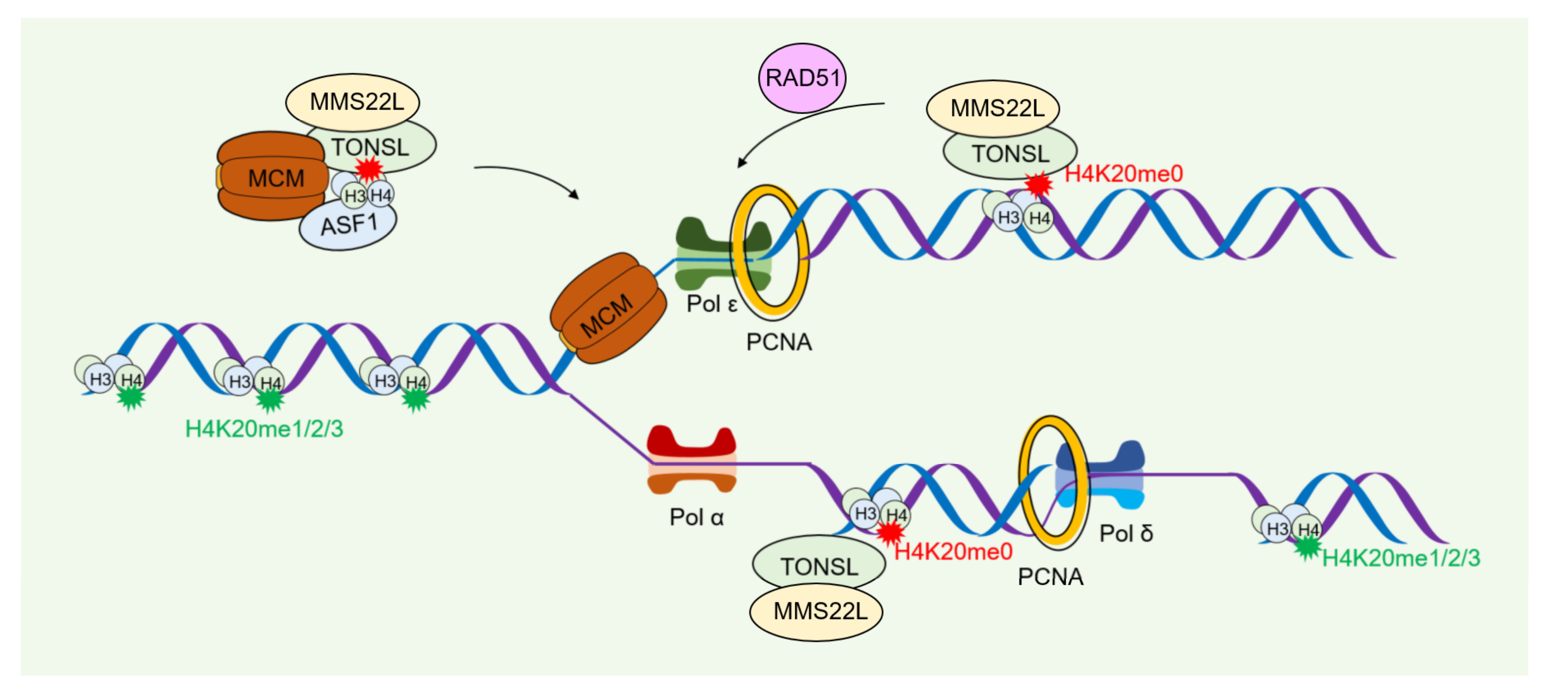 Ijms 24 04939 g005 Ijms 24 04939 g005