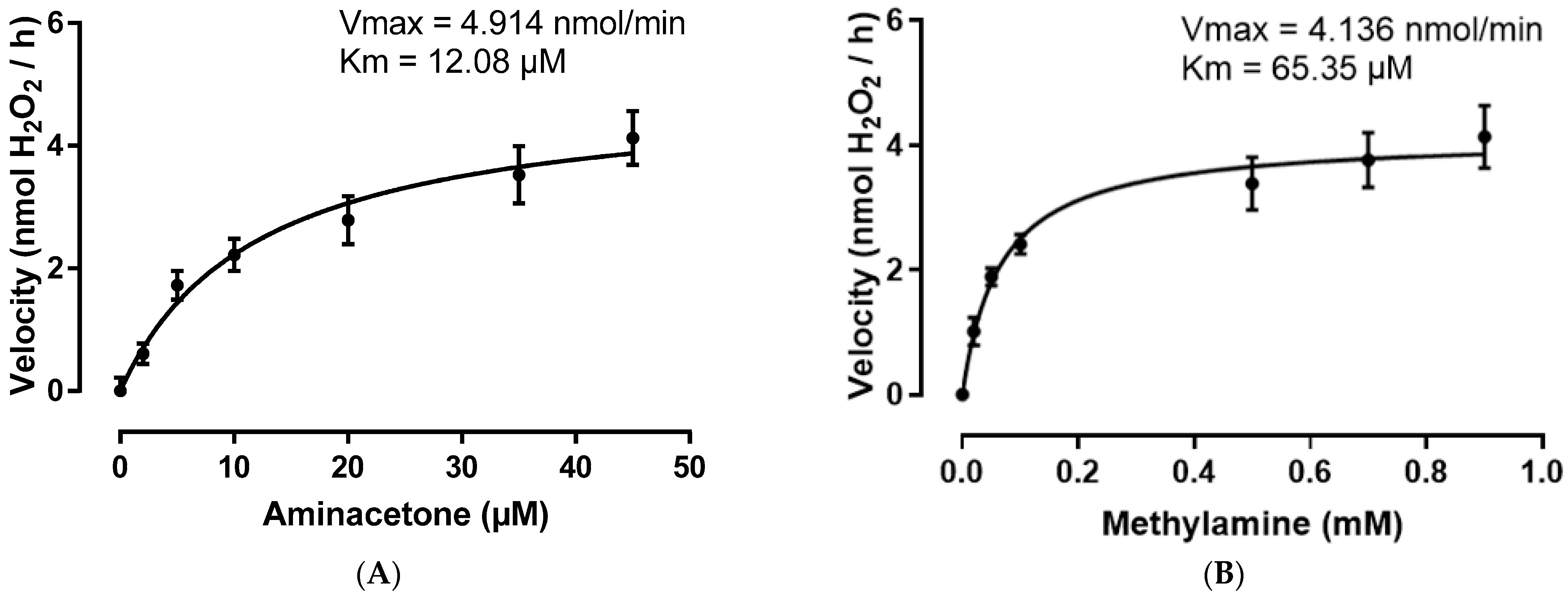 Ijms 24 04946 g003 Ijms 24 04946 g003