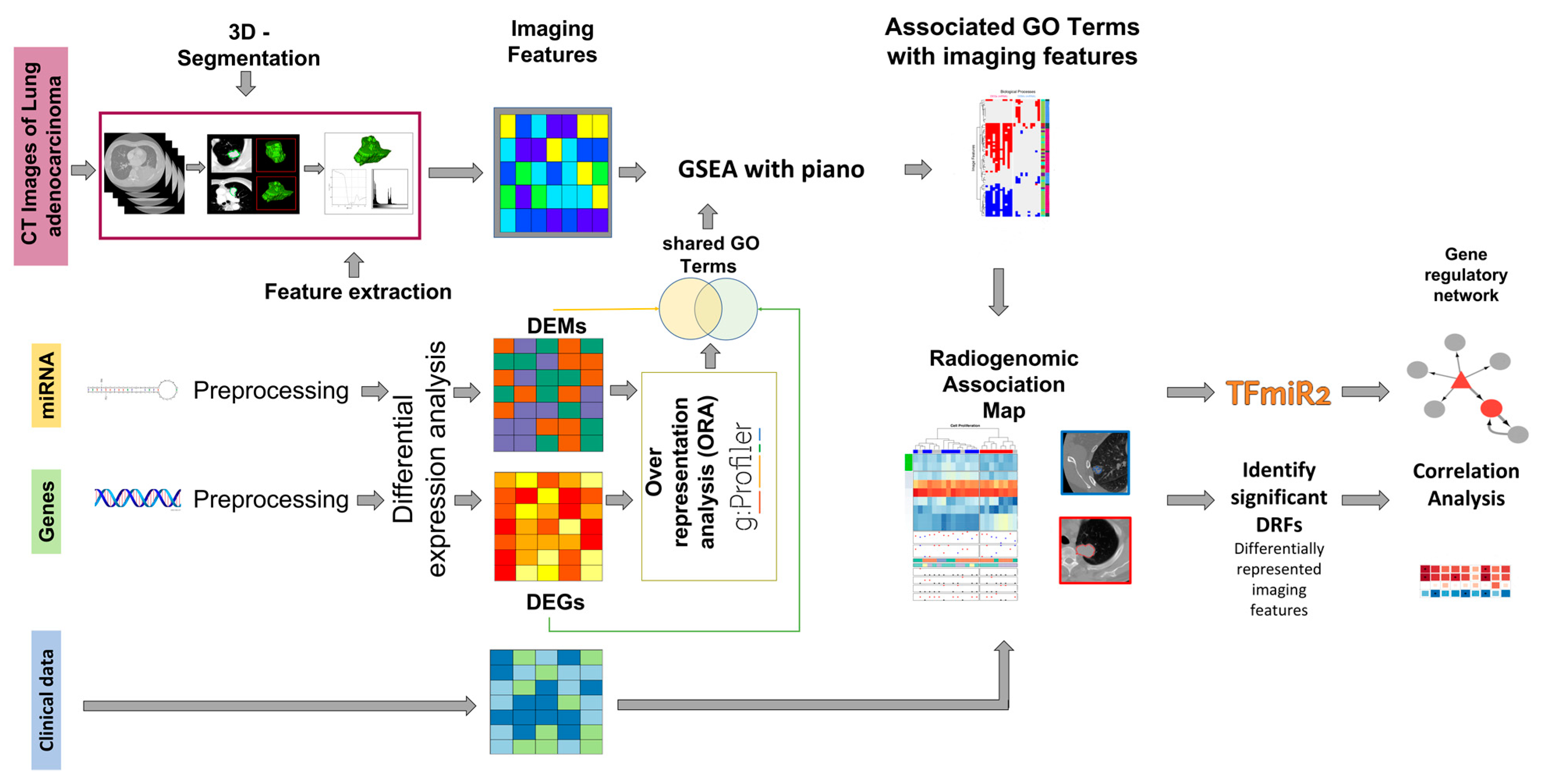 AI-powered interpretable imaging phenotypes noninvasively