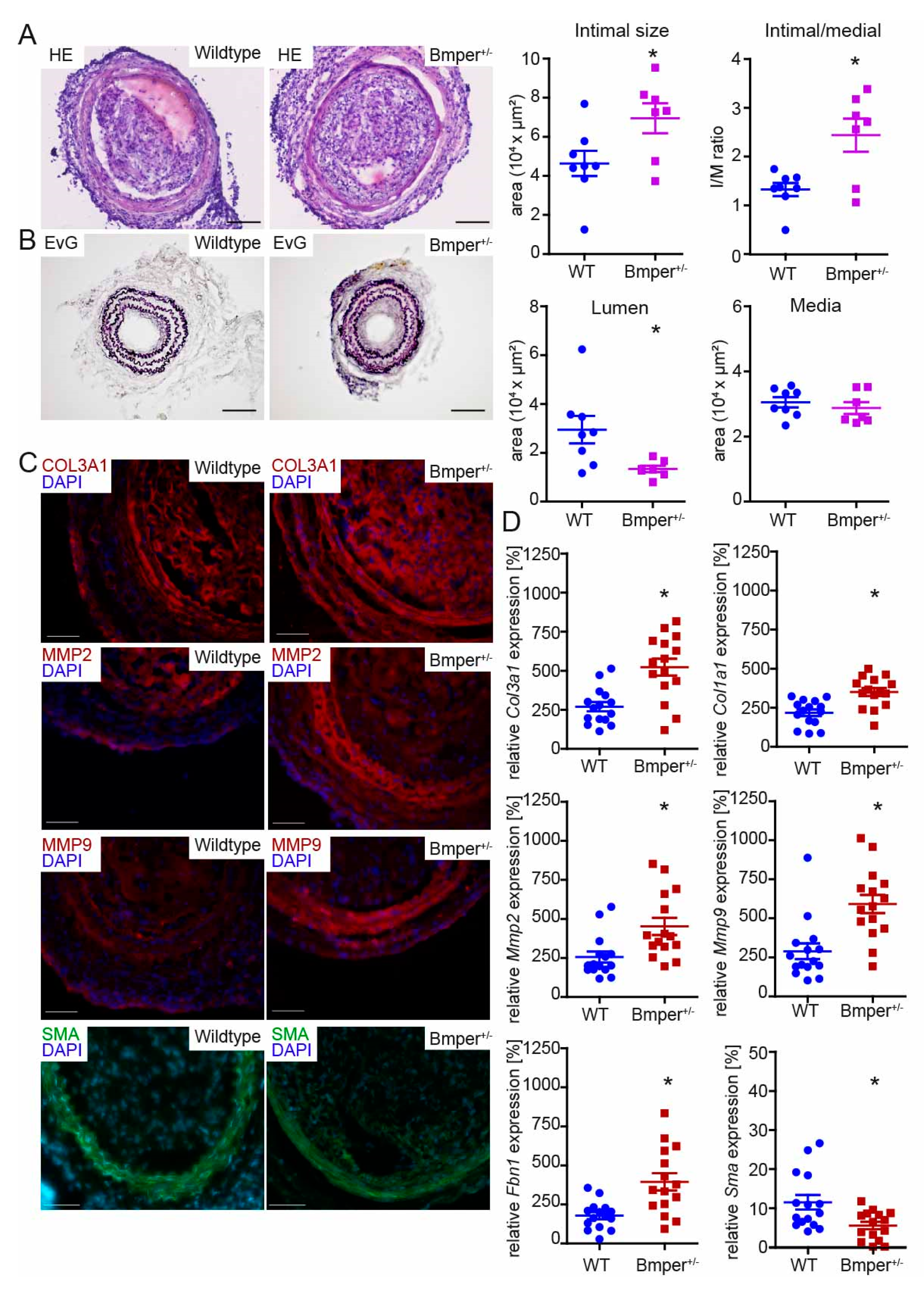Ijms 24 04950 g002 Ijms 24 04950 g002