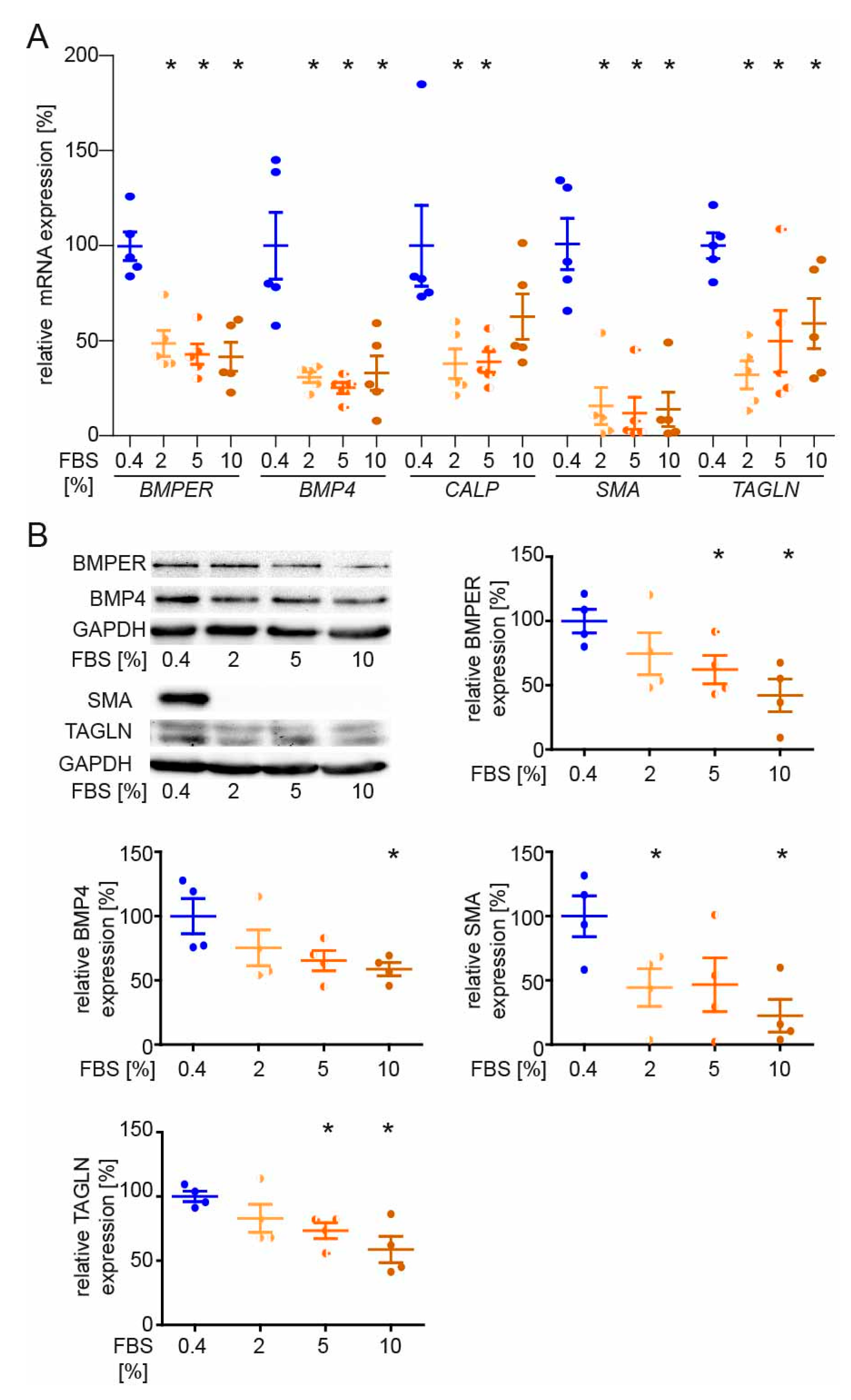 Ijms 24 04950 g005 Ijms 24 04950 g005