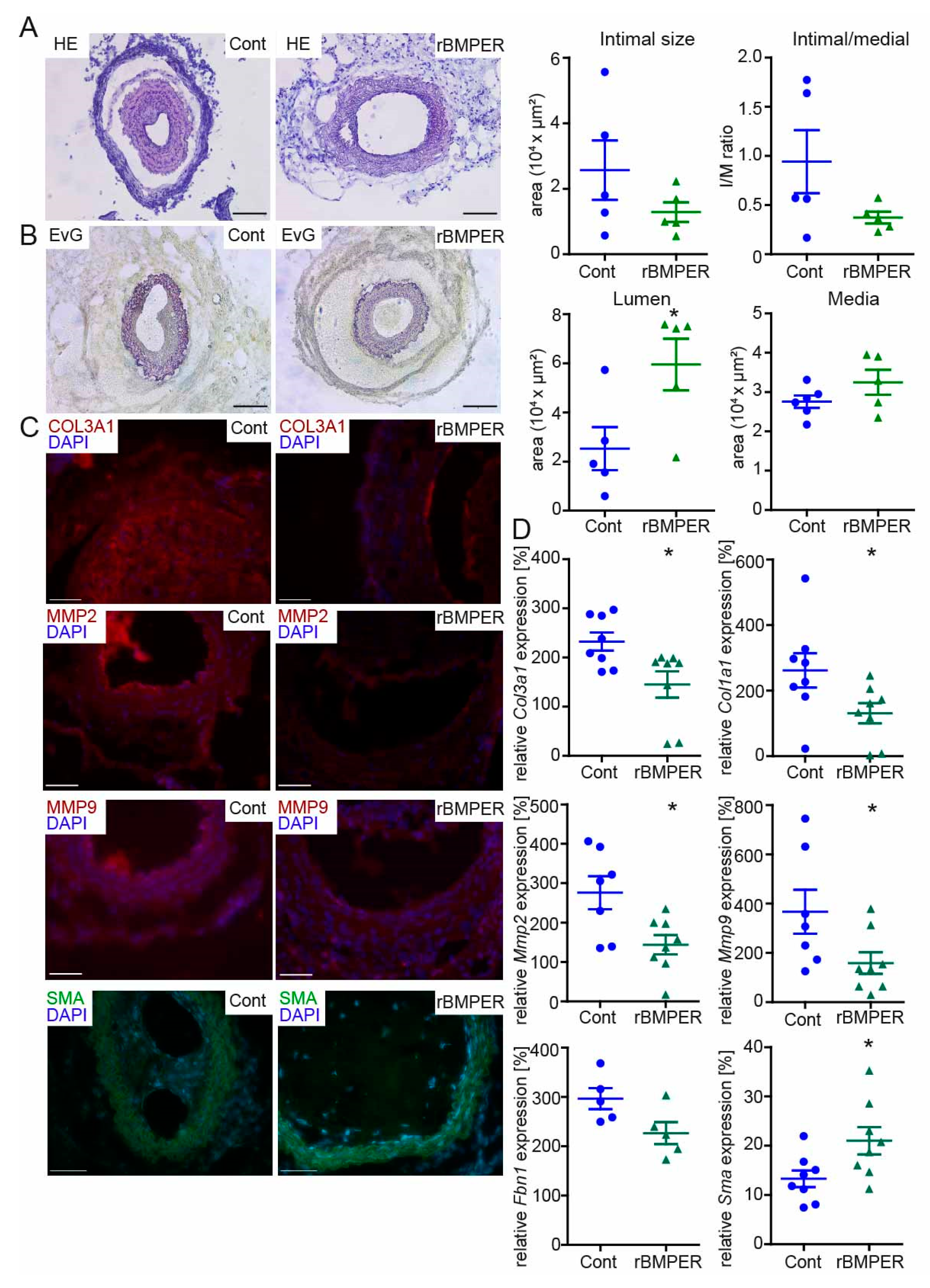 Ijms 24 04950 g007 Ijms 24 04950 g007