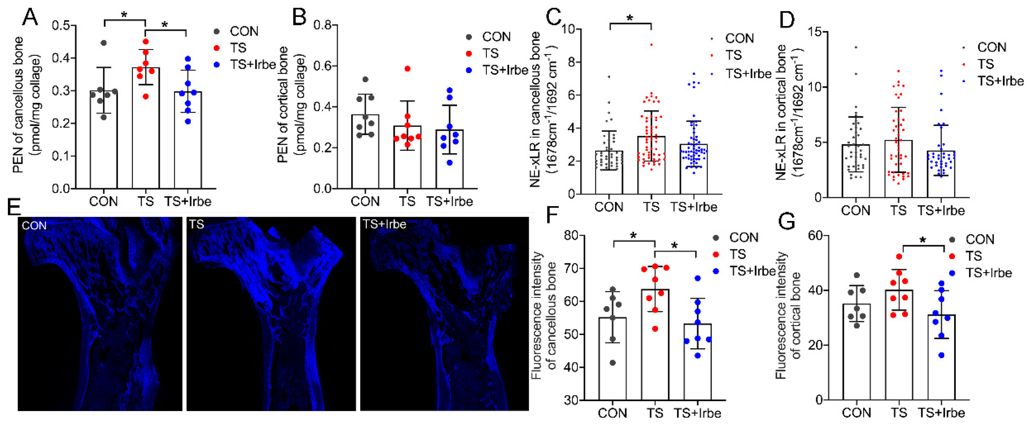 Ijms 24 04953 g001 Ijms 24 04953 g001