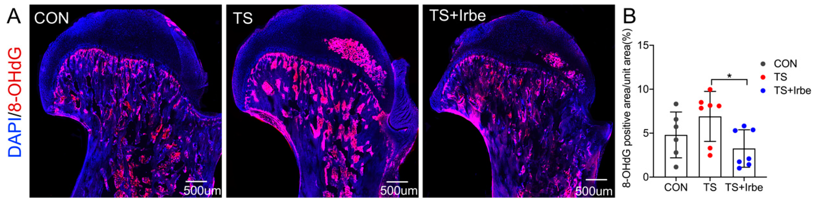 Ijms 24 04953 g002 Ijms 24 04953 g002