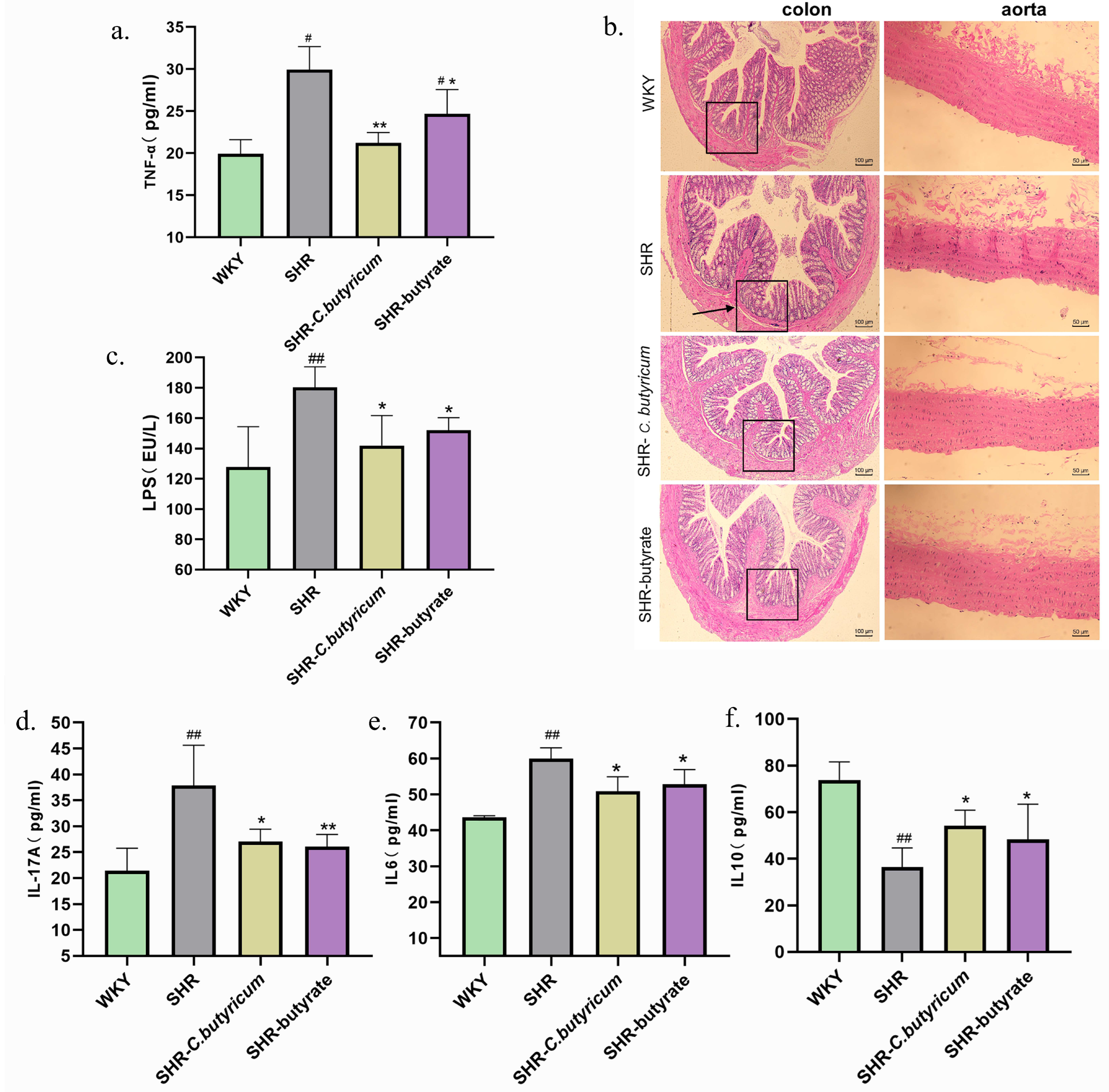 Ijms 24 04955 g004 Ijms 24 04955 g004