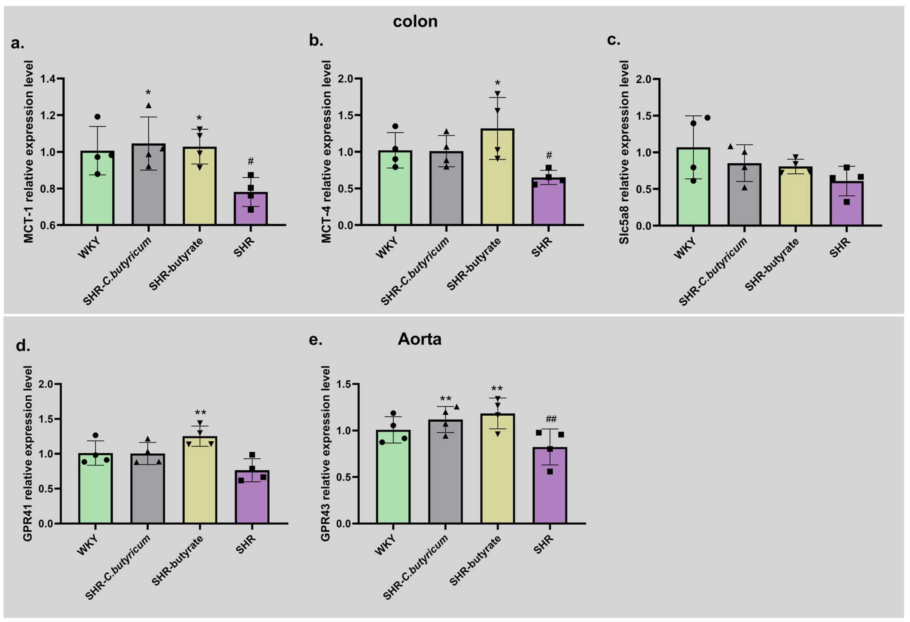 Ijms 24 04955 g007 Ijms 24 04955 g007