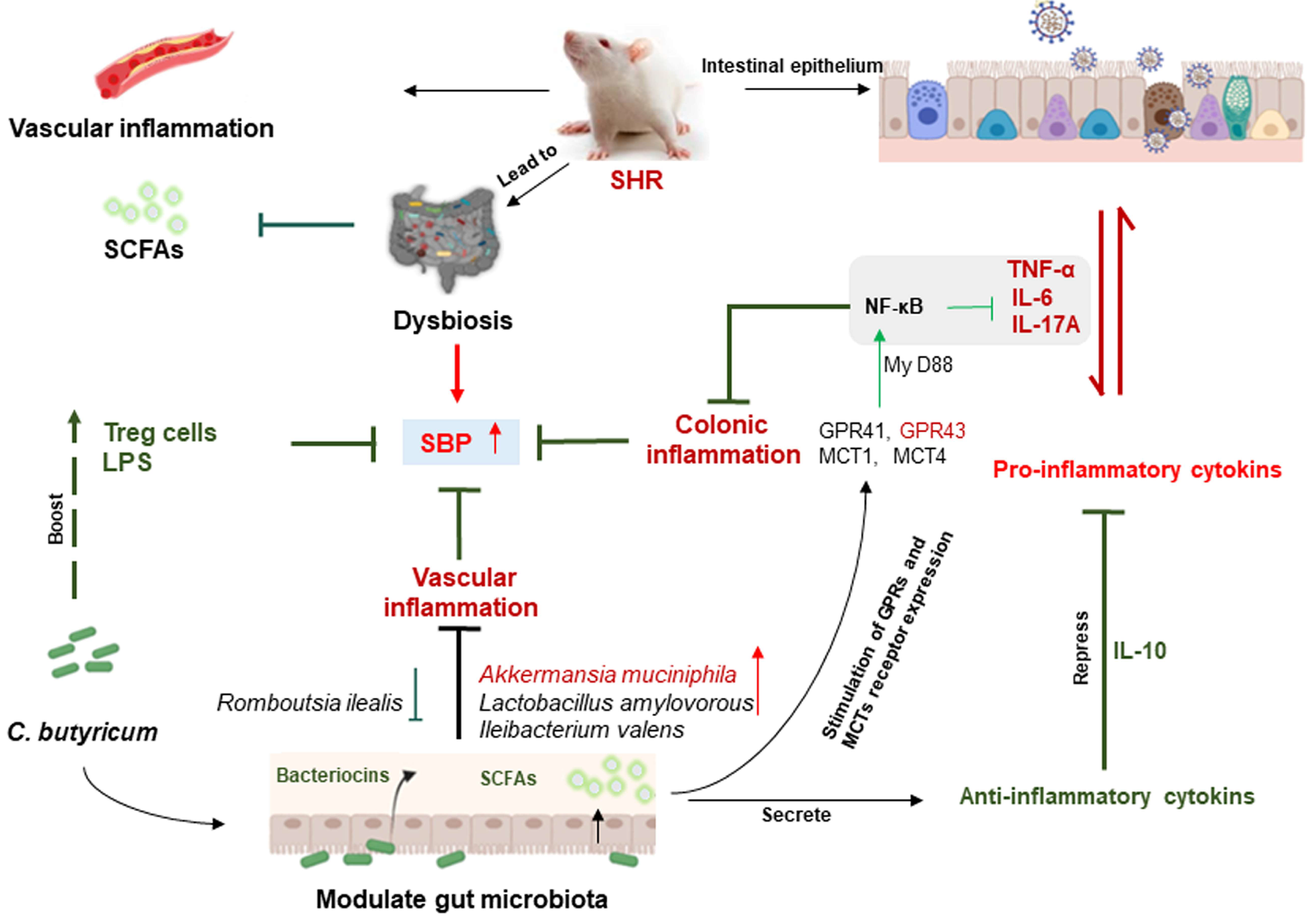Ijms 24 04955 g009 Ijms 24 04955 g009